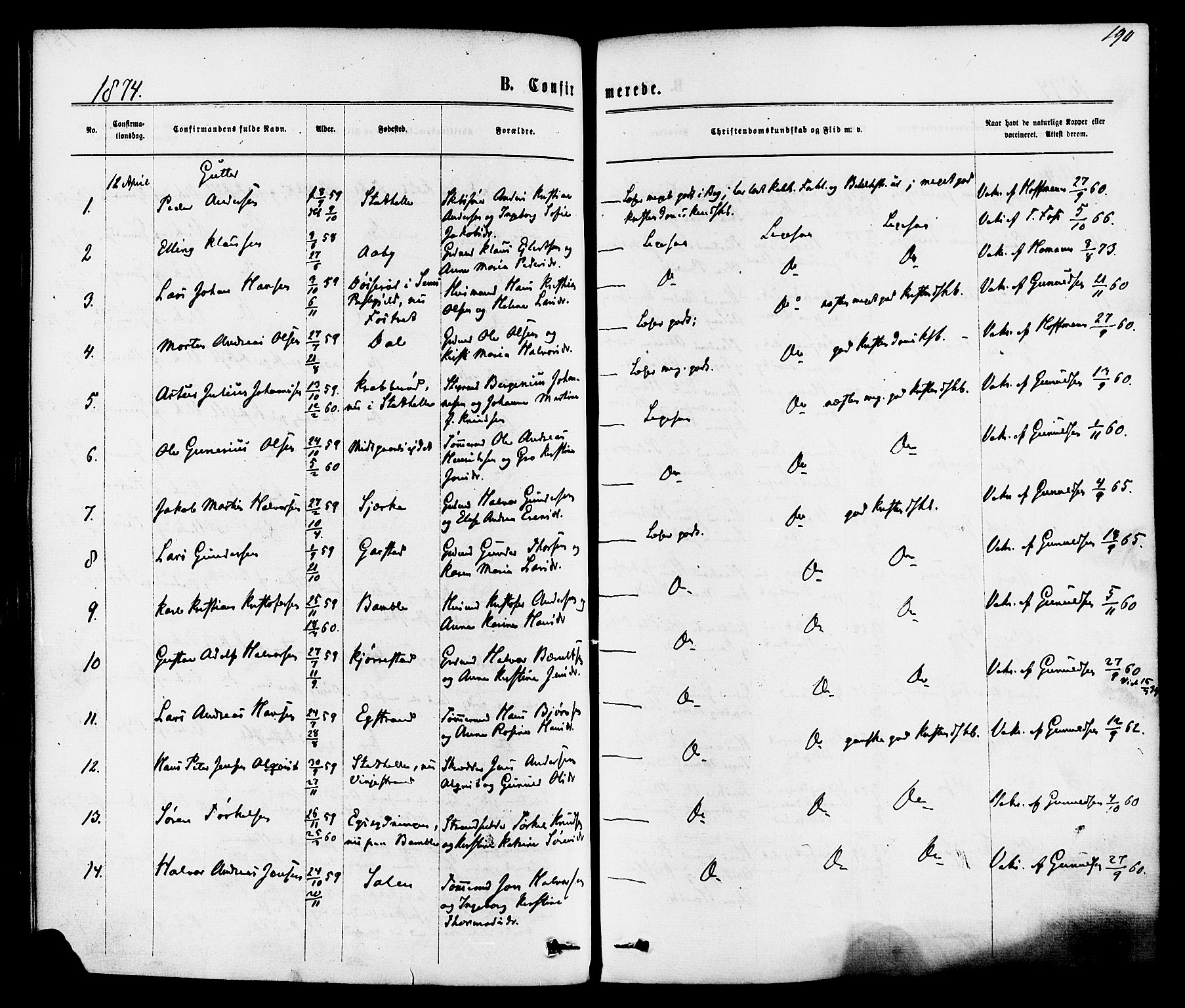 Bamble kirkebøker, SAKO/A-253/F/Fa/L0006: Parish register (official) no. I 6, 1869-1877, p. 190