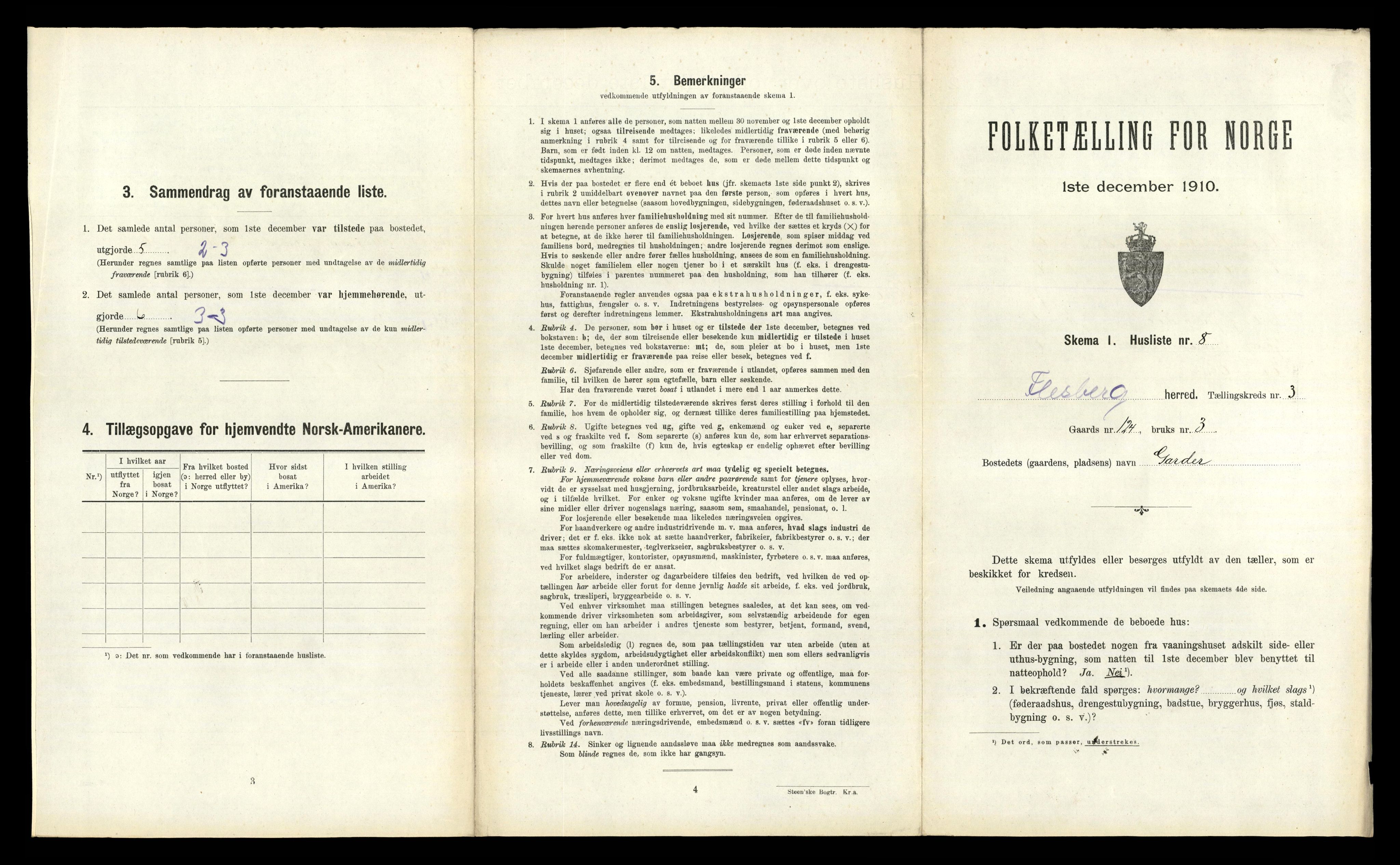 RA, 1910 census for Flesberg, 1910, p. 133