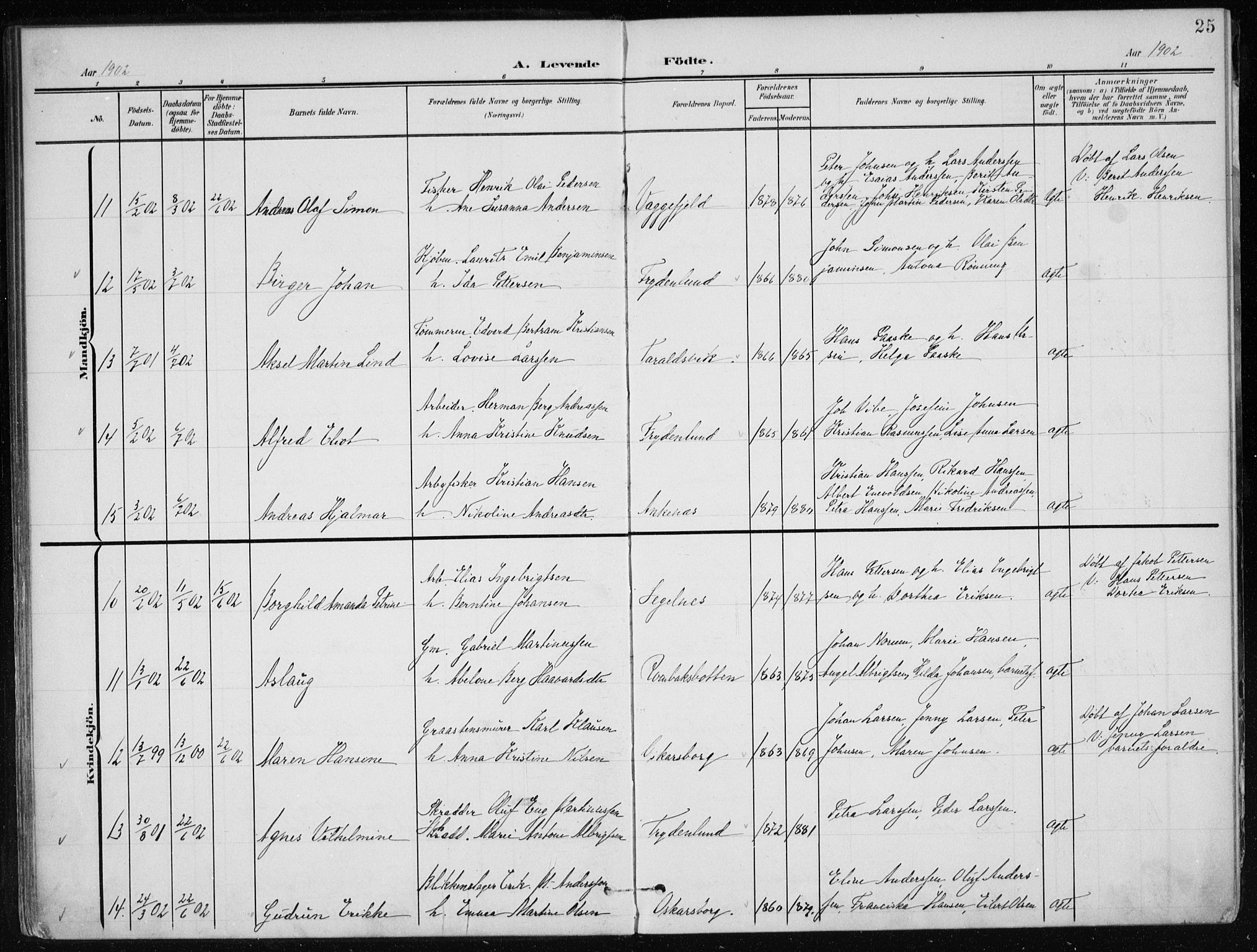 Ministerialprotokoller, klokkerbøker og fødselsregistre - Nordland, AV/SAT-A-1459/866/L0941: Parish register (official) no. 866A04, 1901-1917, p. 25