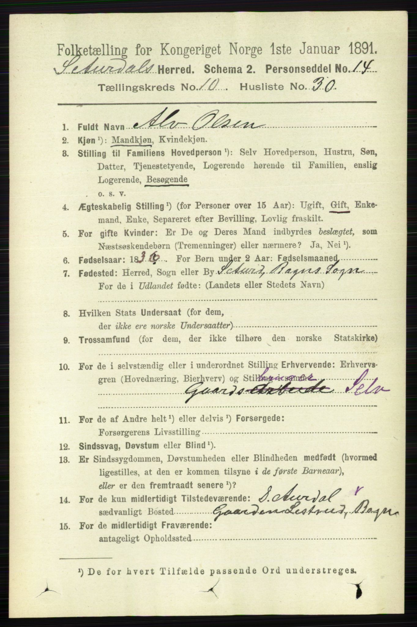 RA, 1891 census for 0540 Sør-Aurdal, 1891, p. 6119