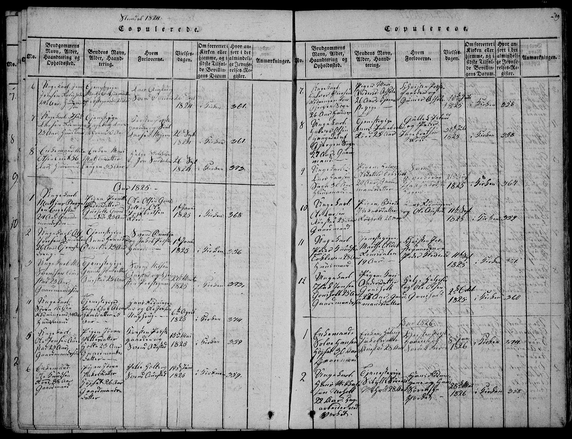 Eidanger kirkebøker, SAKO/A-261/F/Fa/L0007: Parish register (official) no. 7, 1814-1831, p. 219