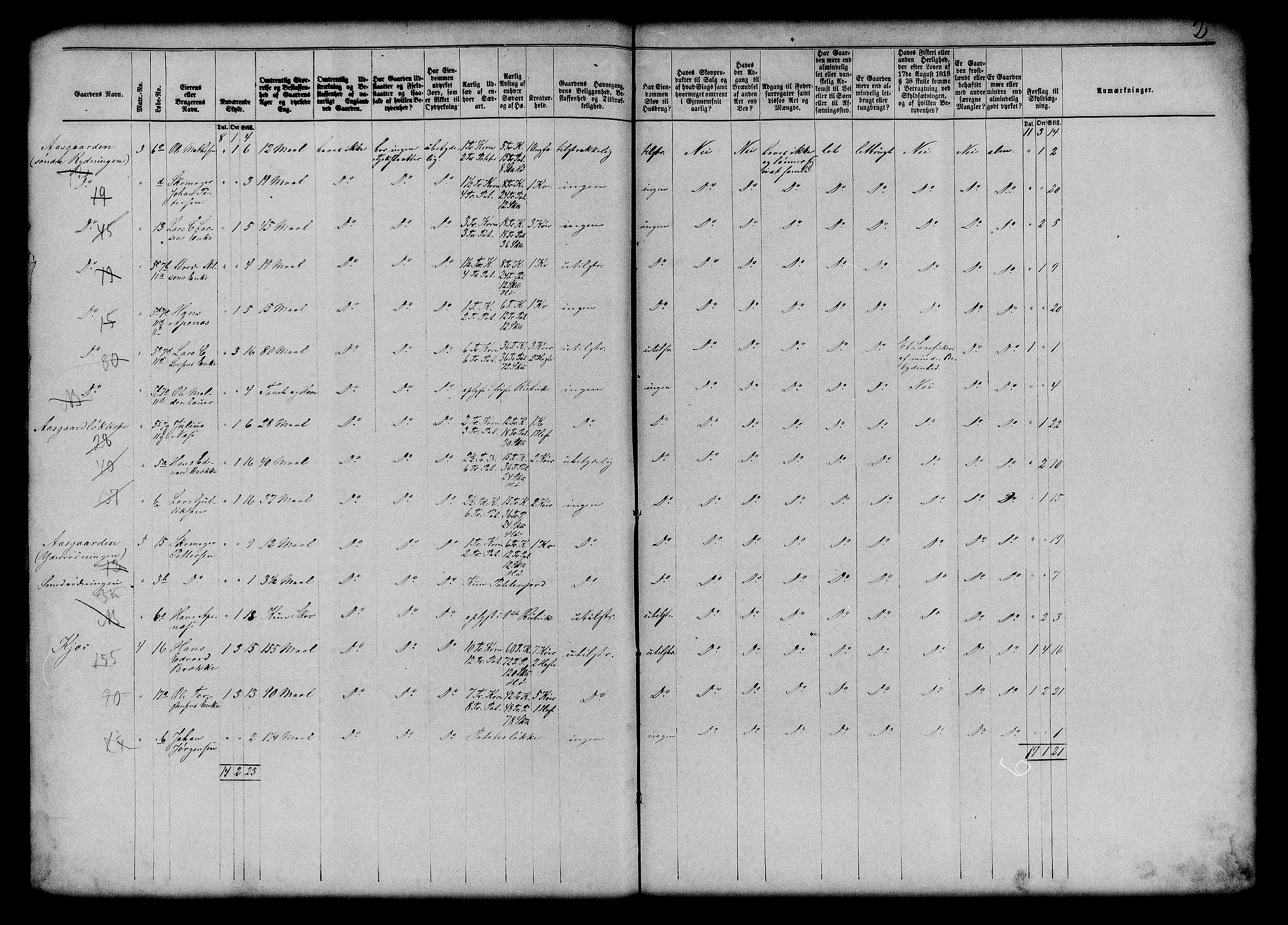 Matrikkelrevisjonen av 1863, AV/RA-S-1530/F/Fe/L0113: Borre, 1863