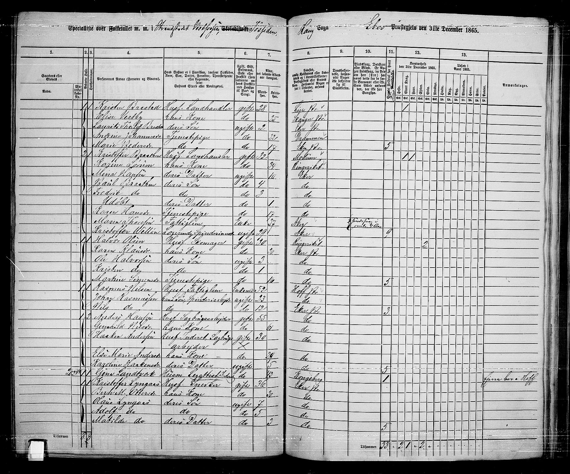 RA, 1865 census for Eiker, 1865, p. 230