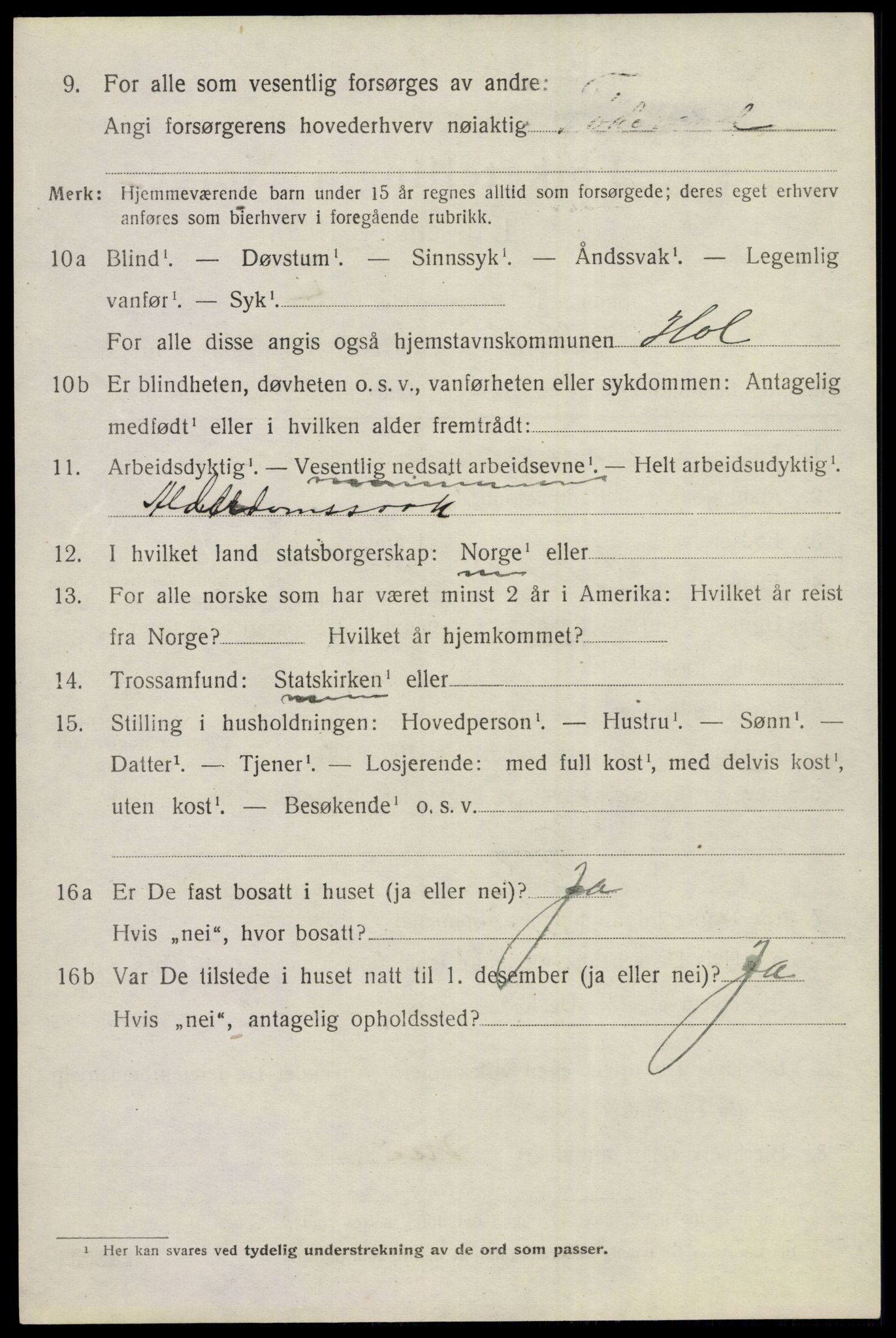 SAKO, 1920 census for Hol (Buskerud), 1920, p. 3784