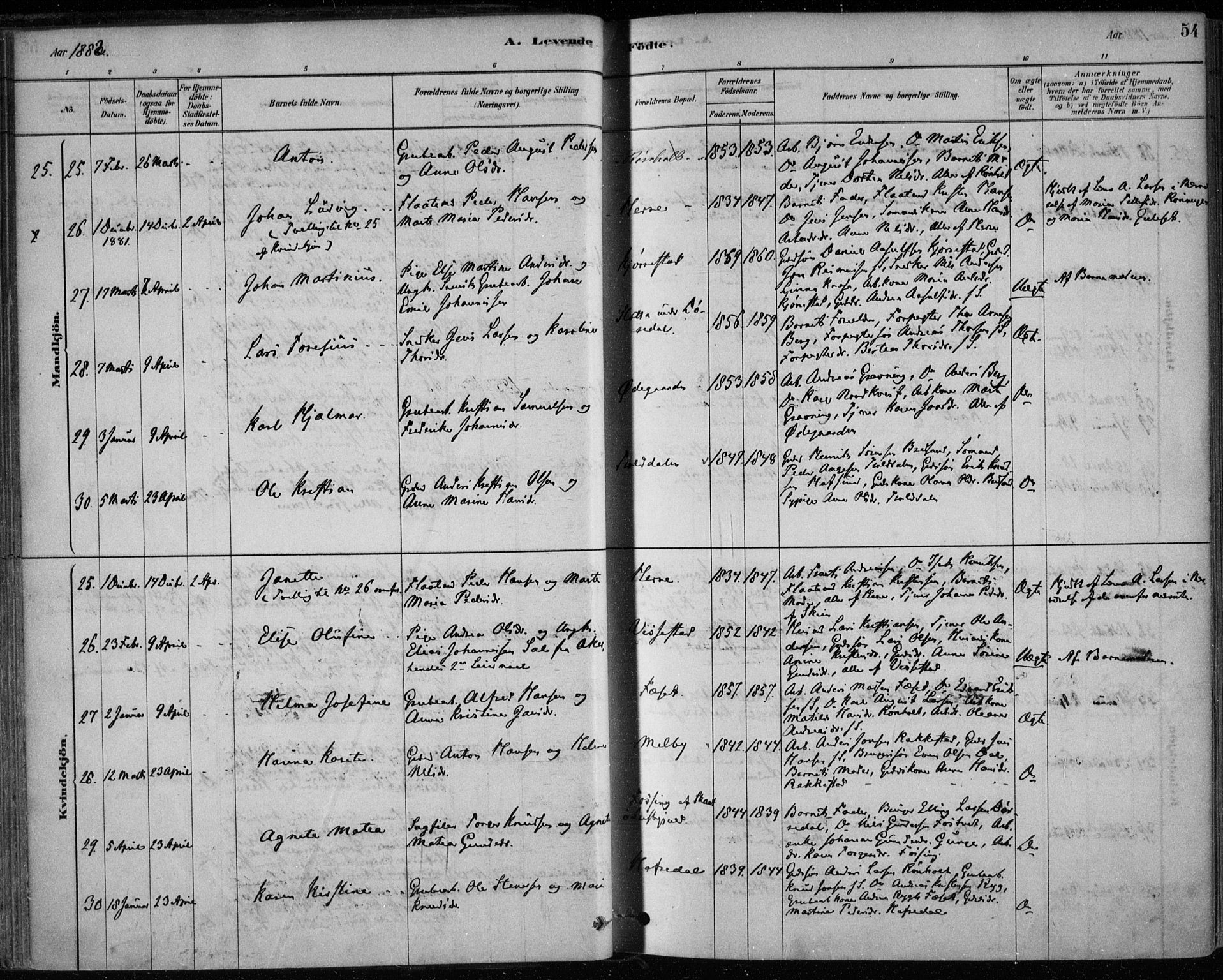 Bamble kirkebøker, AV/SAKO-A-253/F/Fa/L0007: Parish register (official) no. I 7, 1878-1888, p. 54