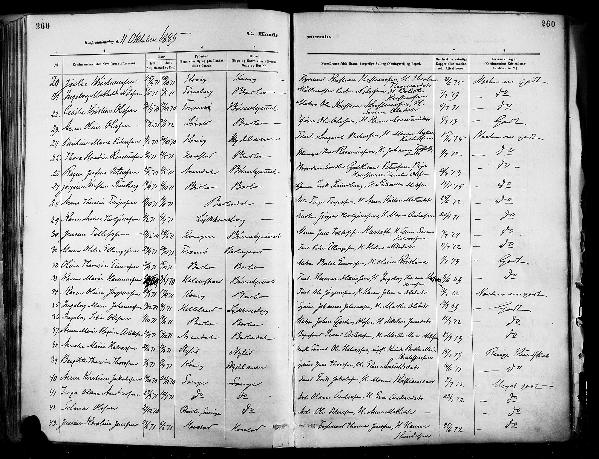 Barbu sokneprestkontor, AV/SAK-1111-0003/F/Fa/L0002: Parish register (official) no. A 2, 1883-1898, p. 260