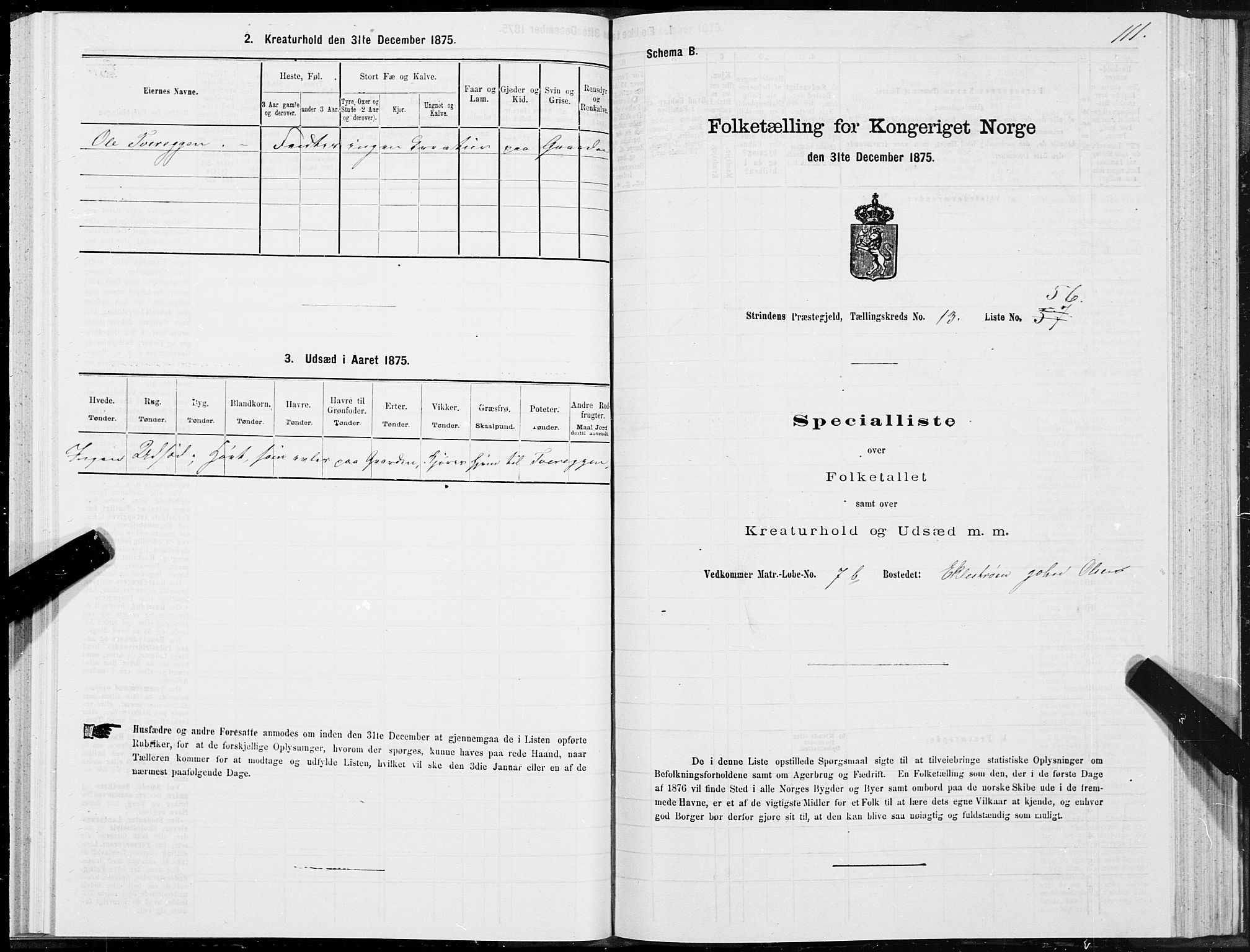 SAT, 1875 census for 1660P Strinda, 1875, p. 8111