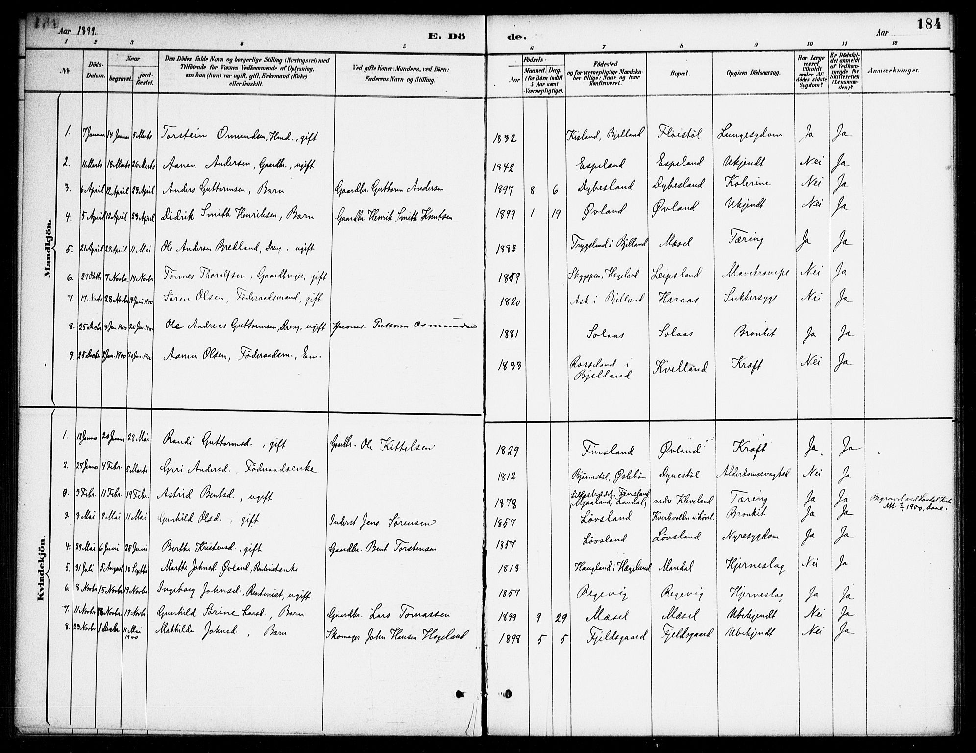 Bjelland sokneprestkontor, SAK/1111-0005/F/Fa/Fab/L0004: Parish register (official) no. A 4, 1887-1920, p. 184