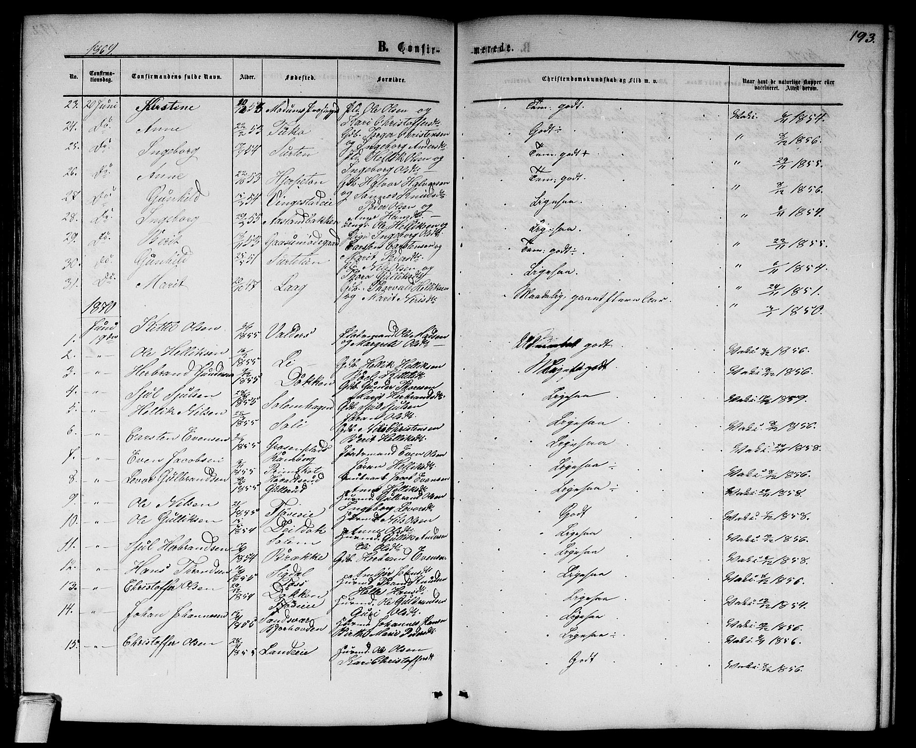 Flesberg kirkebøker, SAKO/A-18/G/Ga/L0003: Parish register (copy) no. I 3, 1861-1889, p. 193