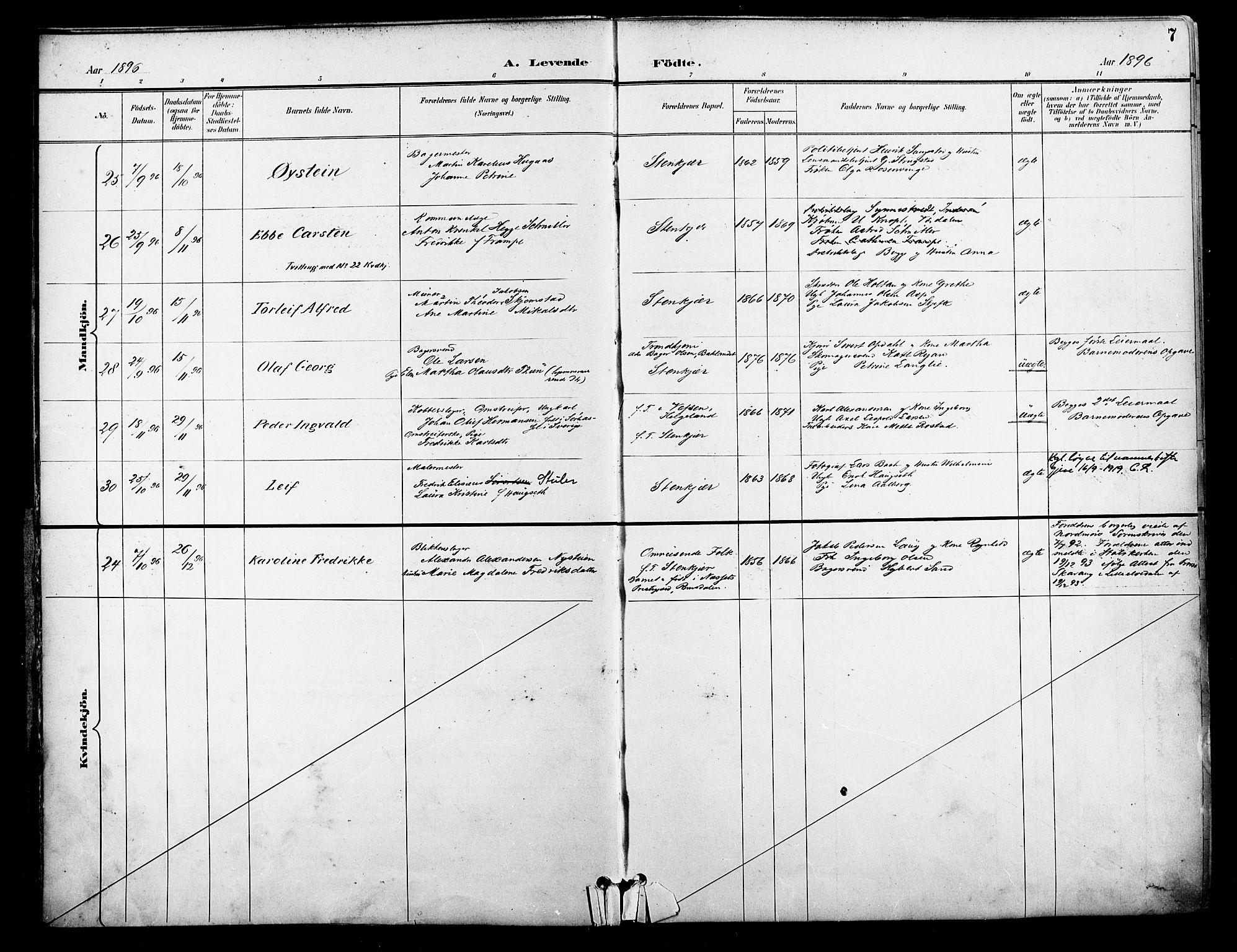 Ministerialprotokoller, klokkerbøker og fødselsregistre - Nord-Trøndelag, AV/SAT-A-1458/739/L0372: Parish register (official) no. 739A04, 1895-1903, p. 7