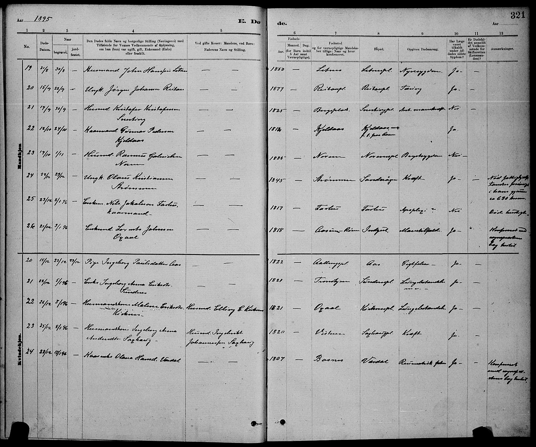 Ministerialprotokoller, klokkerbøker og fødselsregistre - Nord-Trøndelag, AV/SAT-A-1458/730/L0301: Parish register (copy) no. 730C04, 1880-1897, p. 321