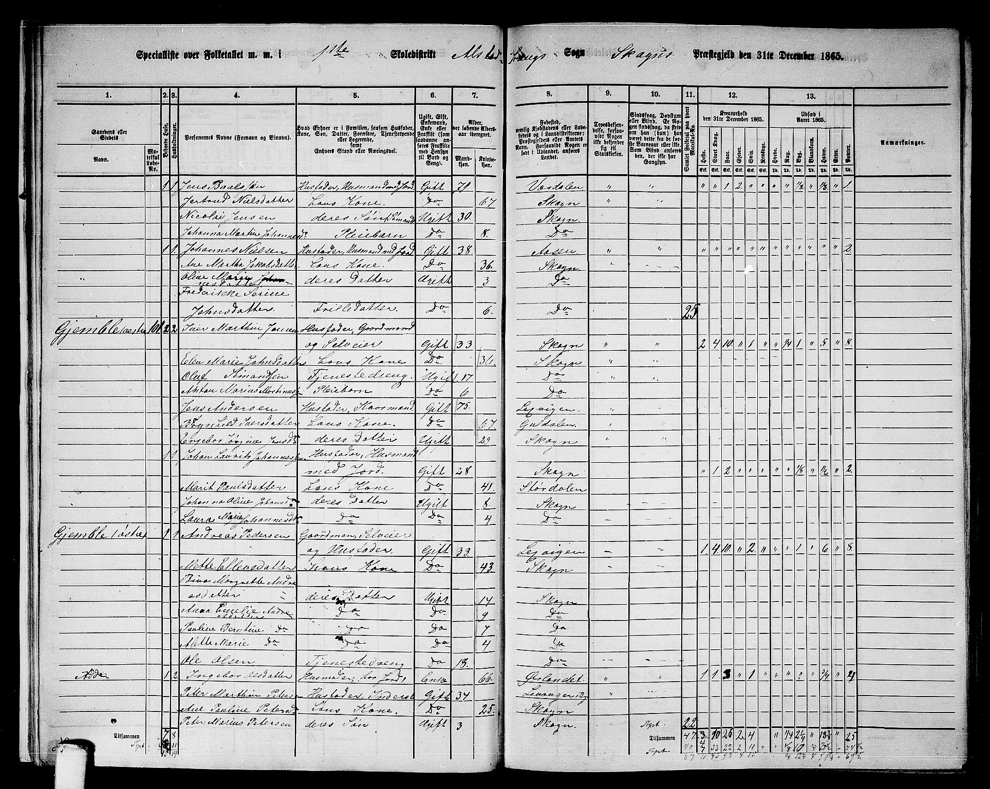 RA, 1865 census for Skogn, 1865, p. 18