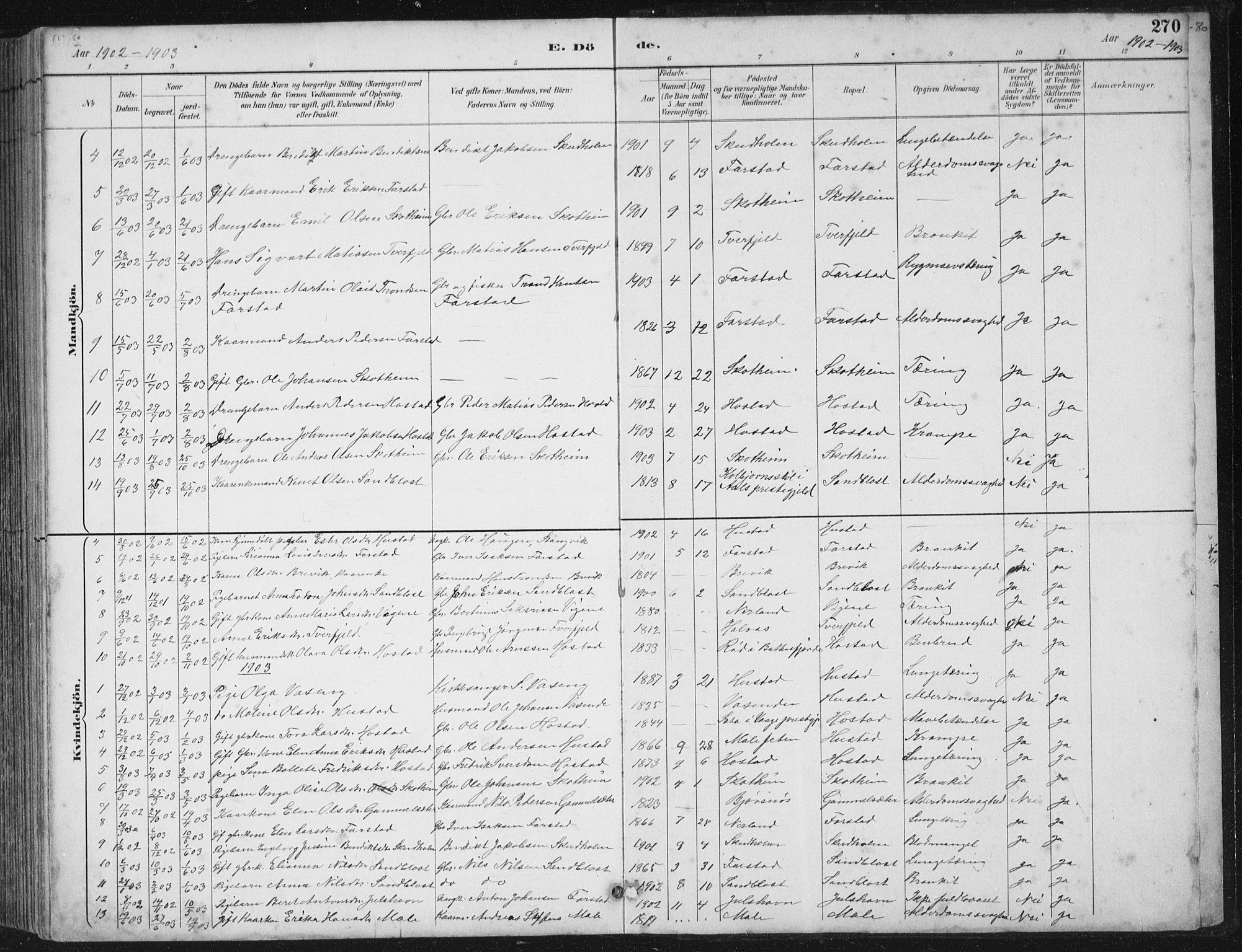 Ministerialprotokoller, klokkerbøker og fødselsregistre - Møre og Romsdal, AV/SAT-A-1454/567/L0783: Parish register (copy) no. 567C03, 1887-1903, p. 270