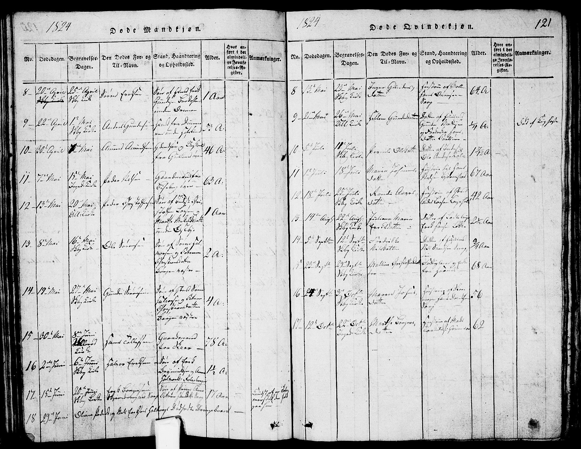 Skjeberg prestekontor Kirkebøker, AV/SAO-A-10923/G/Ga/L0001: Parish register (copy) no. I 1, 1815-1830, p. 121