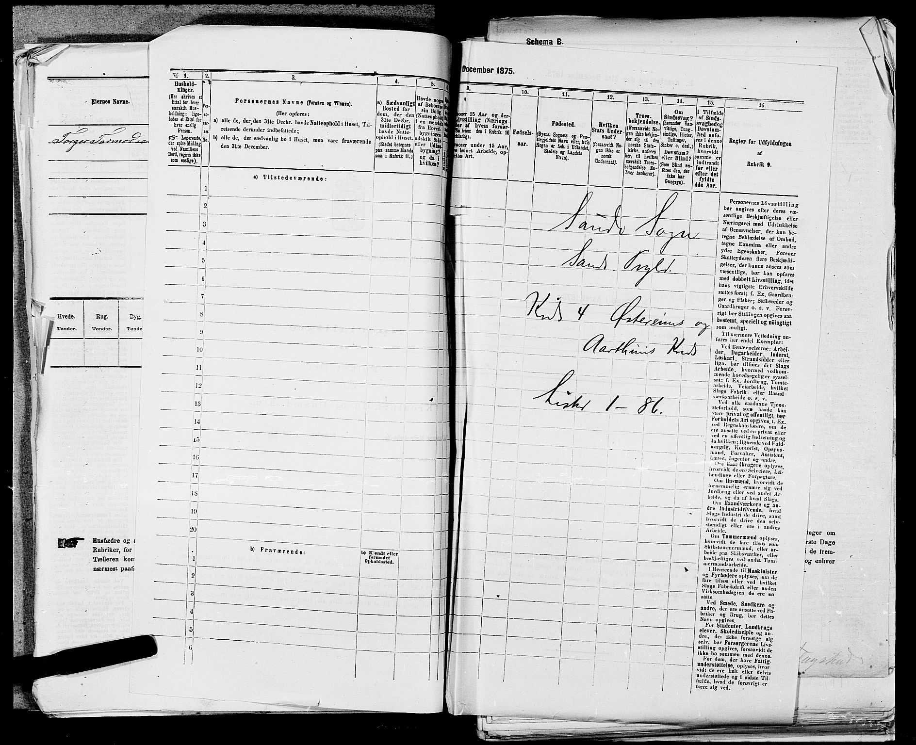 SAST, 1875 census for 1136P Sand, 1875, p. 1253