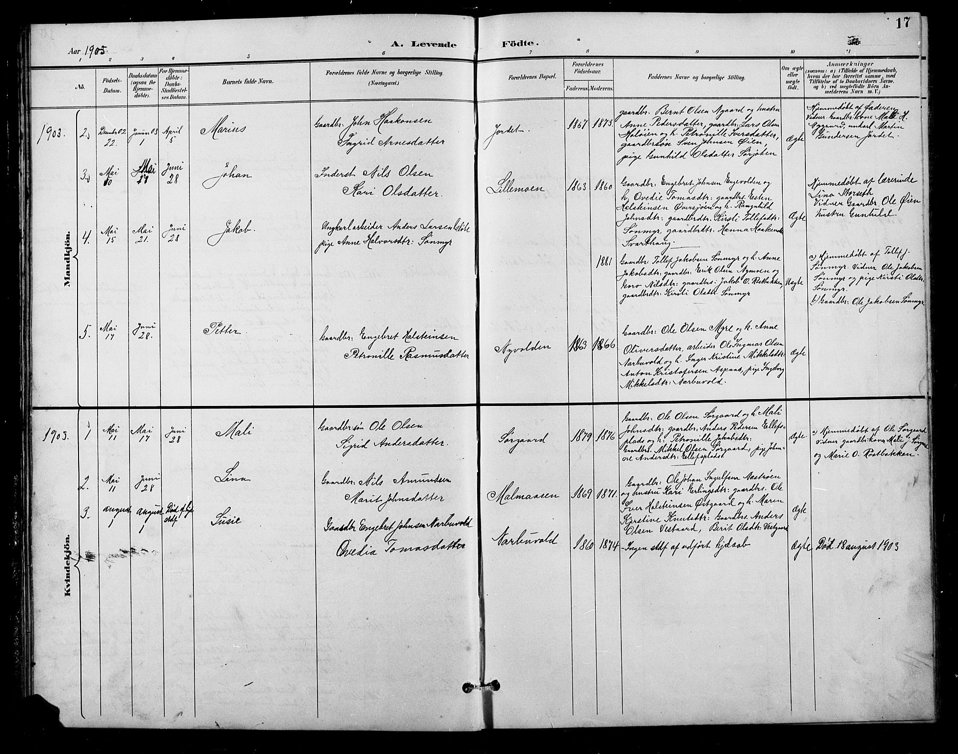 Tolga prestekontor, AV/SAH-PREST-062/L/L0011: Parish register (copy) no. 11, 1894-1925, p. 17