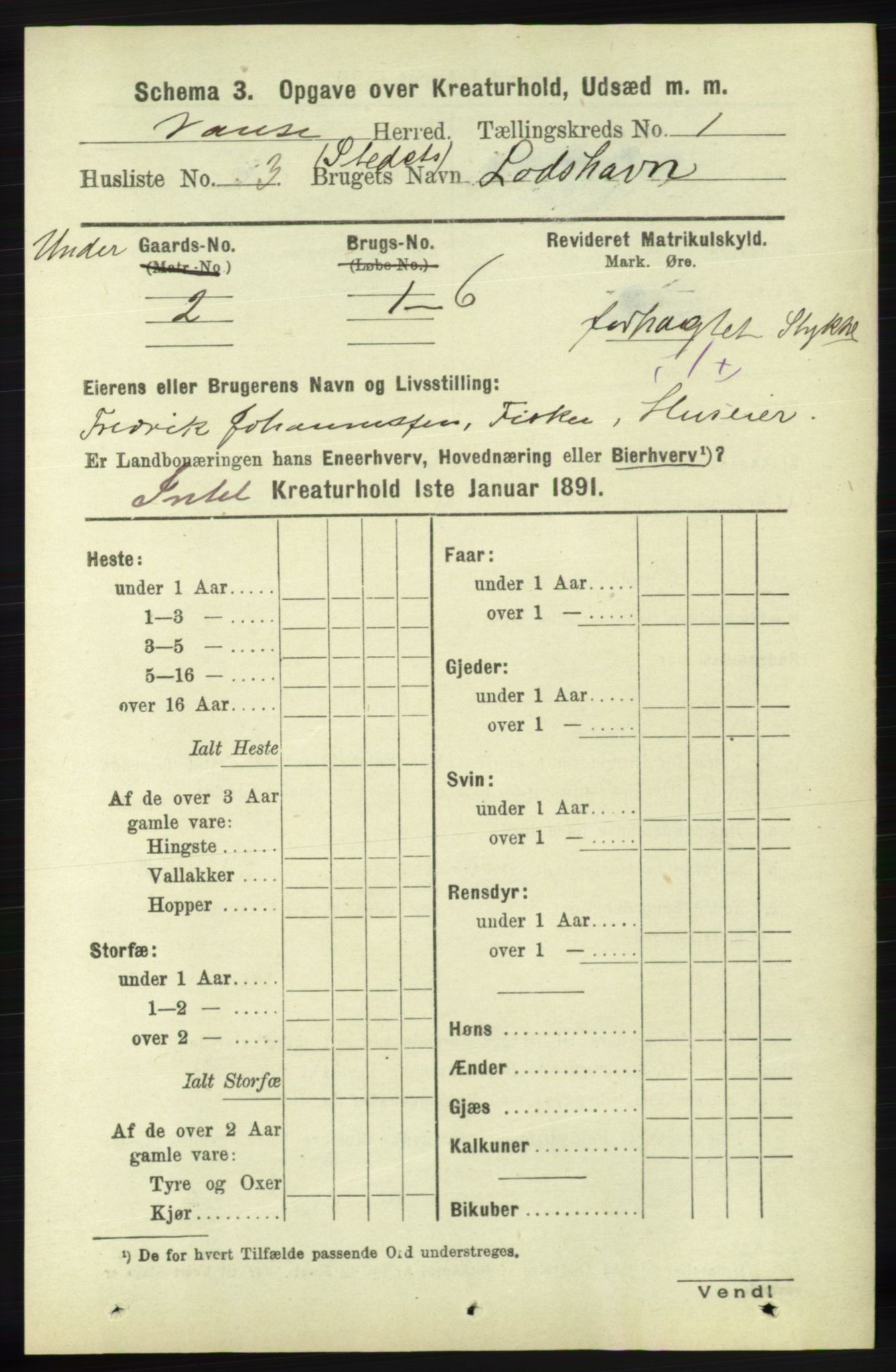 RA, 1891 census for 1041 Vanse, 1891, p. 7808