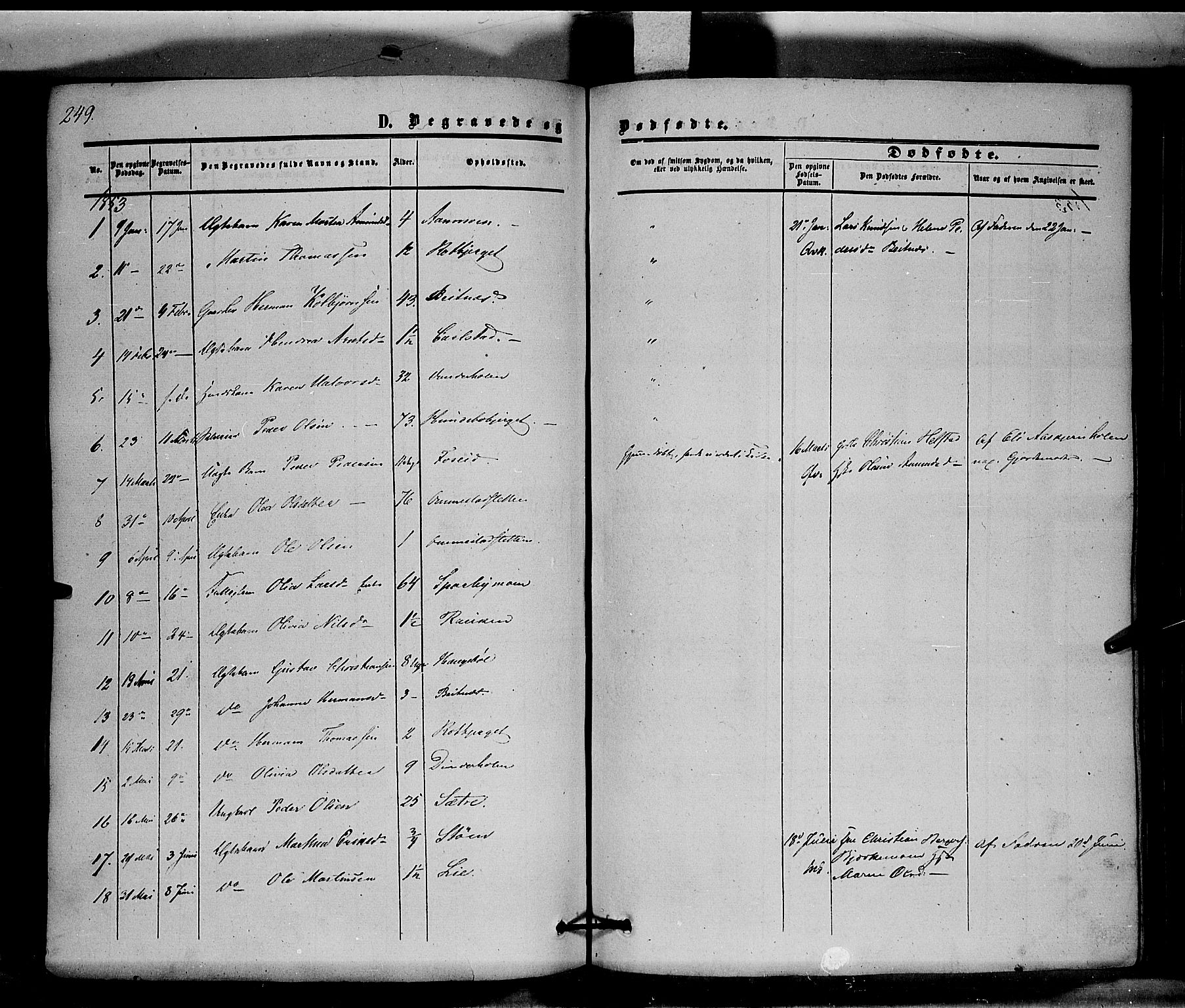 Hof prestekontor, SAH/PREST-038/H/Ha/Haa/L0008: Parish register (official) no. 8, 1849-1861, p. 249