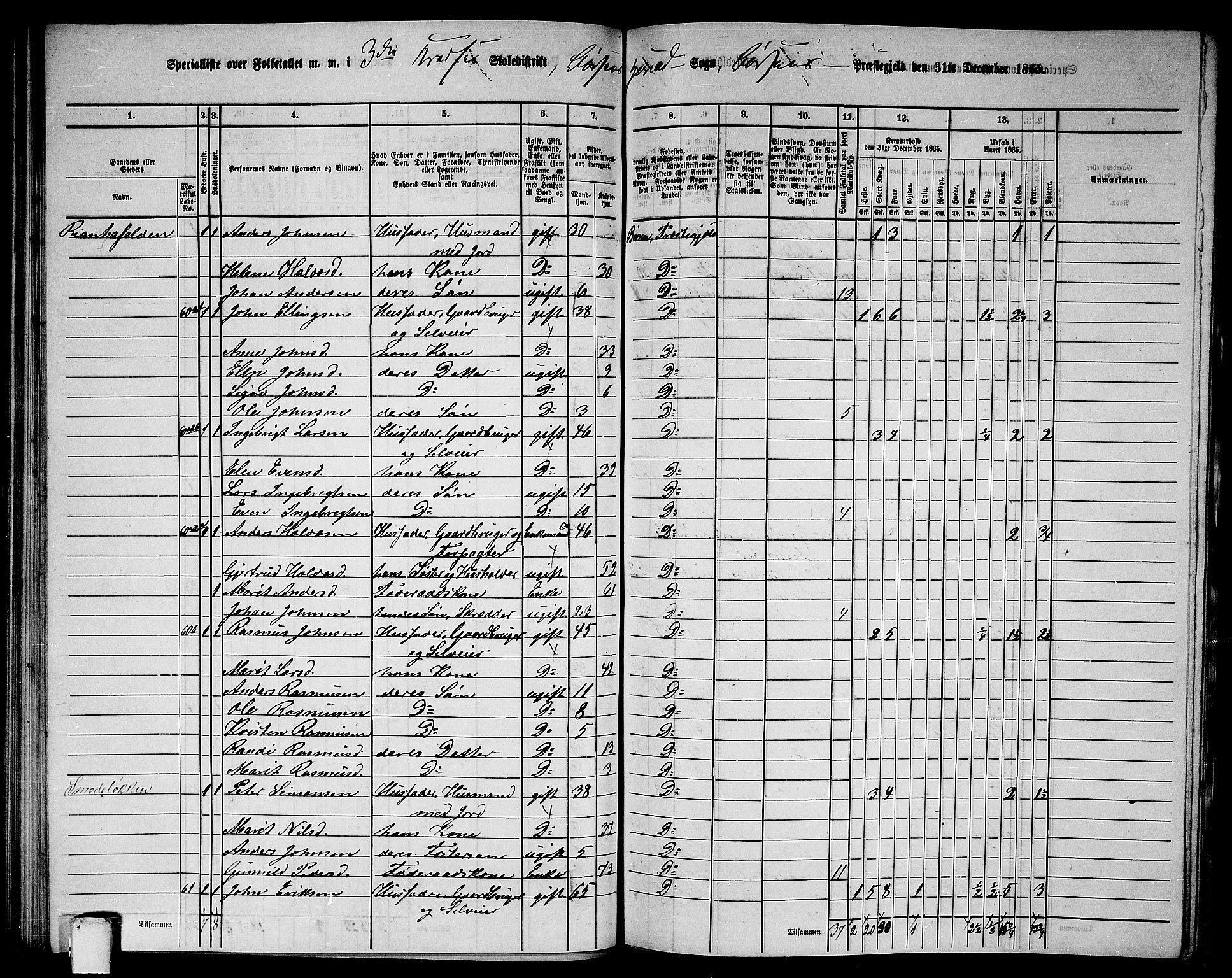 RA, 1865 census for Børsa, 1865, p. 62