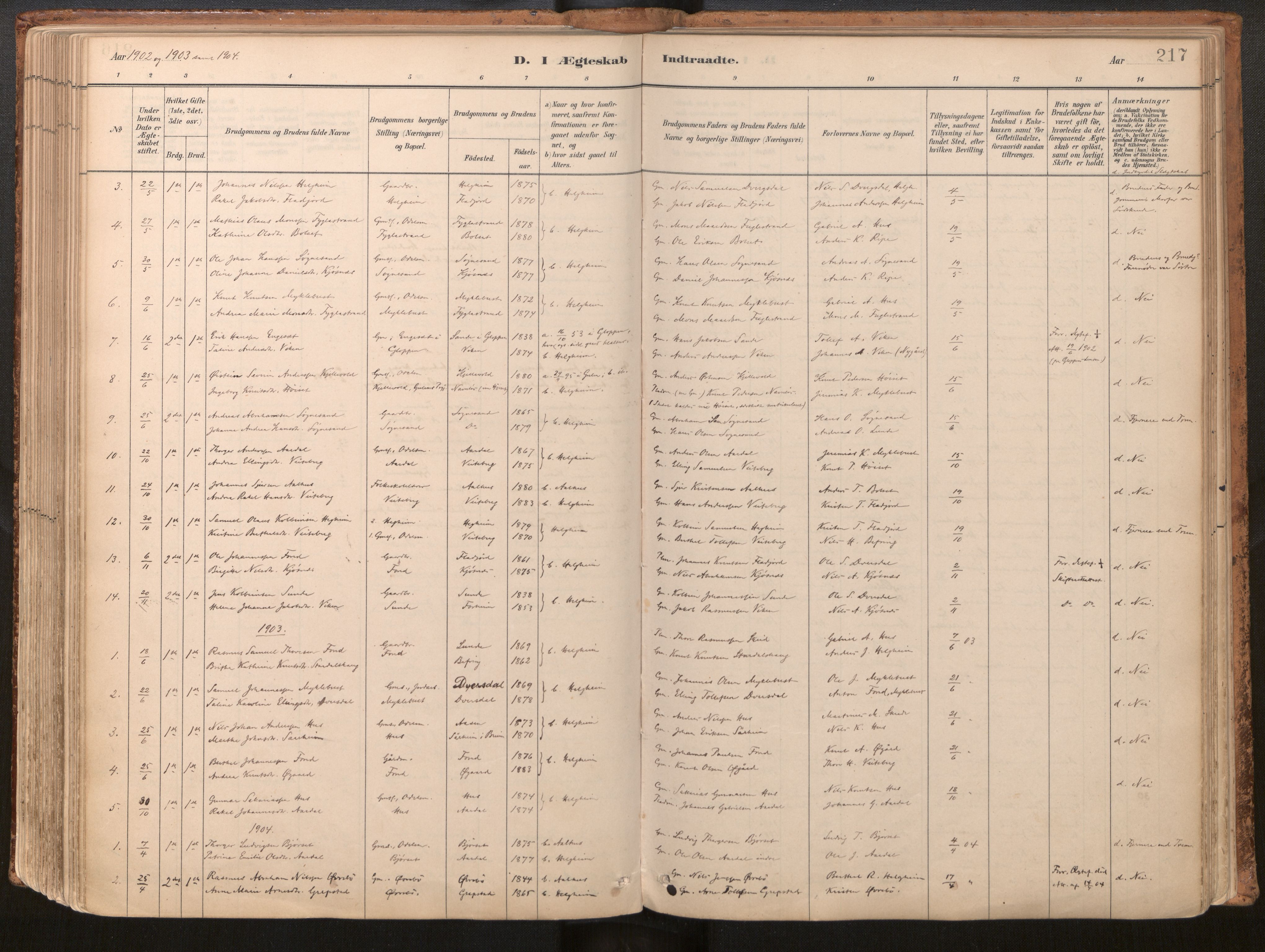 Jølster sokneprestembete, SAB/A-80701/H/Haa/Haac/L0001: Parish register (official) no. C 1, 1882-1928, p. 217