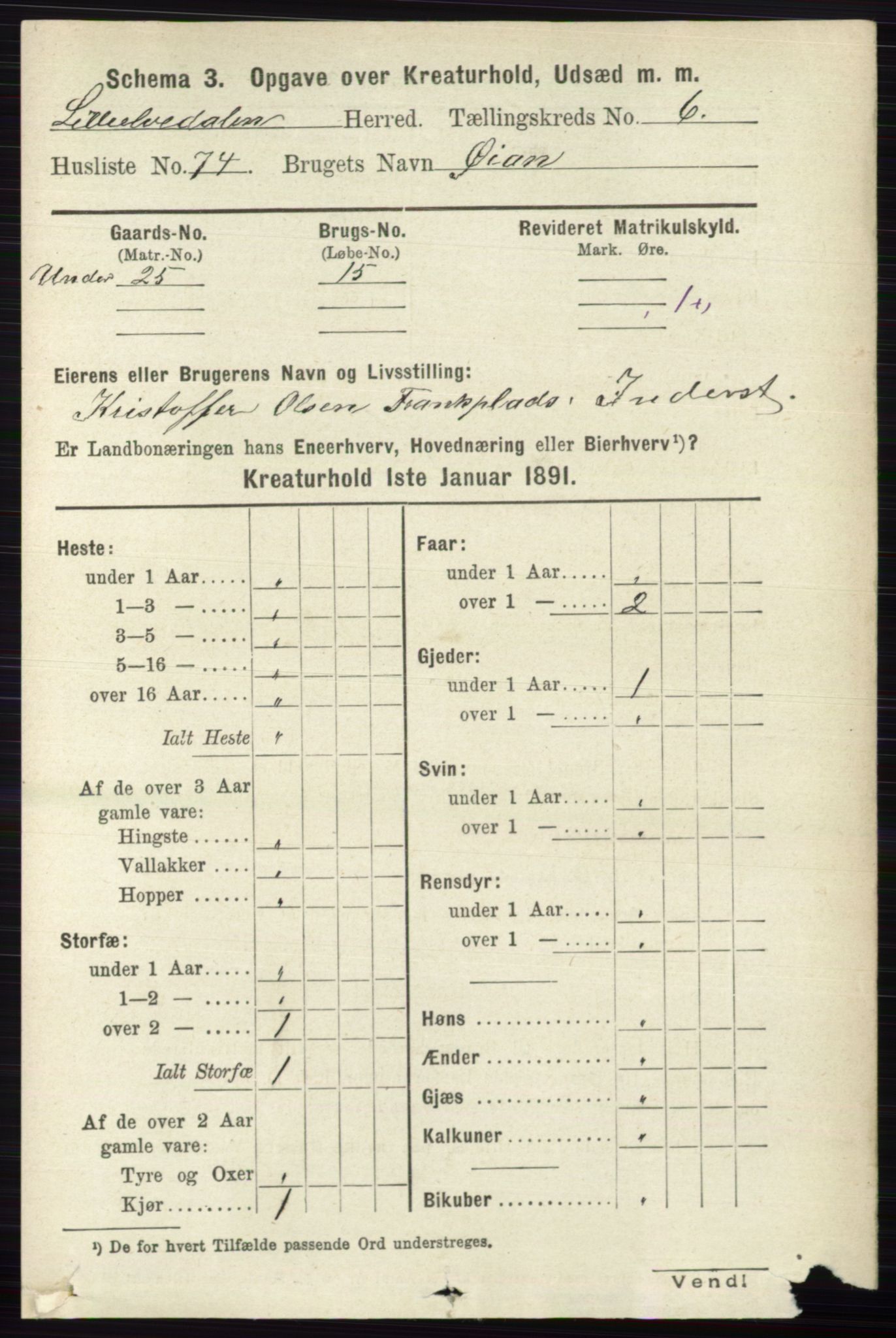 RA, 1891 census for 0438 Lille Elvedalen, 1891, p. 4518