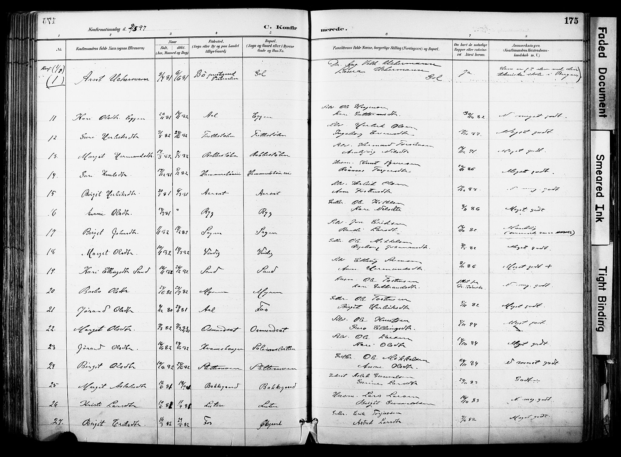 Hol kirkebøker, AV/SAKO-A-227/F/Fa/L0003: Parish register (official) no. I 3, 1887-1918, p. 175