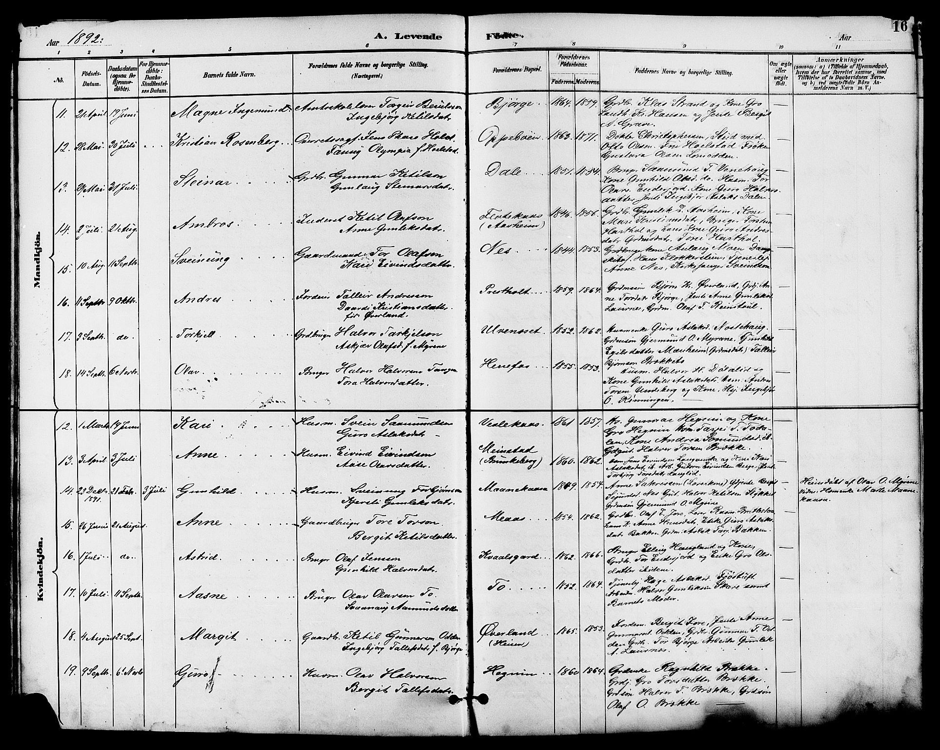 Seljord kirkebøker, SAKO/A-20/G/Ga/L0005: Parish register (copy) no. I 5, 1887-1914, p. 16