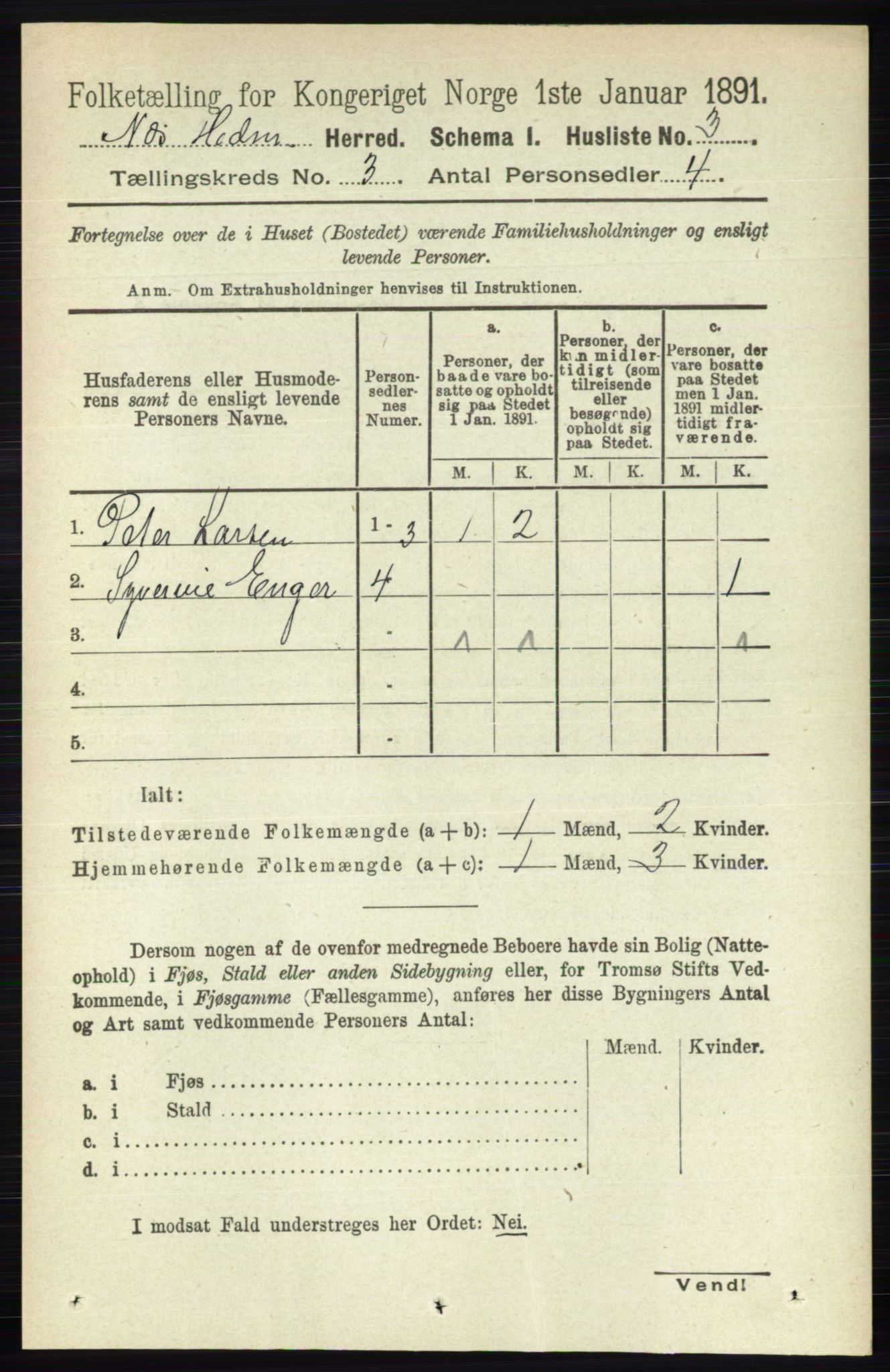 RA, 1891 census for 0411 Nes, 1891, p. 1523