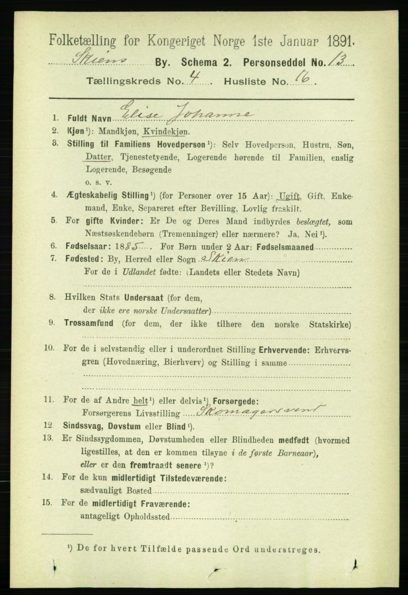 RA, 1891 census for 0806 Skien, 1891, p. 2844