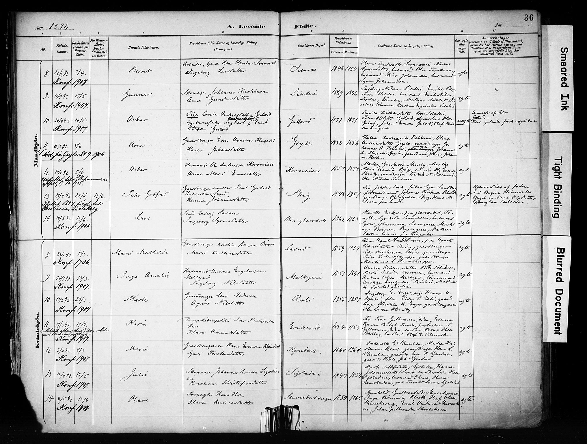 Biri prestekontor, AV/SAH-PREST-096/H/Ha/Haa/L0009: Parish register (official) no. 9, 1887-1900, p. 36
