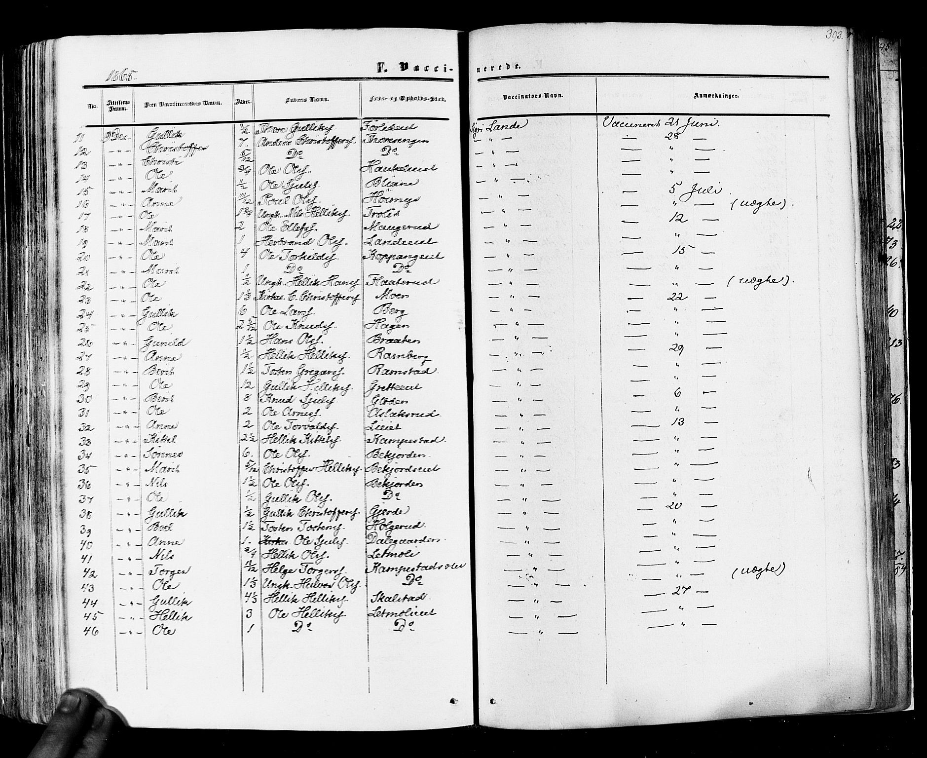 Flesberg kirkebøker, SAKO/A-18/F/Fa/L0007: Parish register (official) no. I 7, 1861-1878, p. 393
