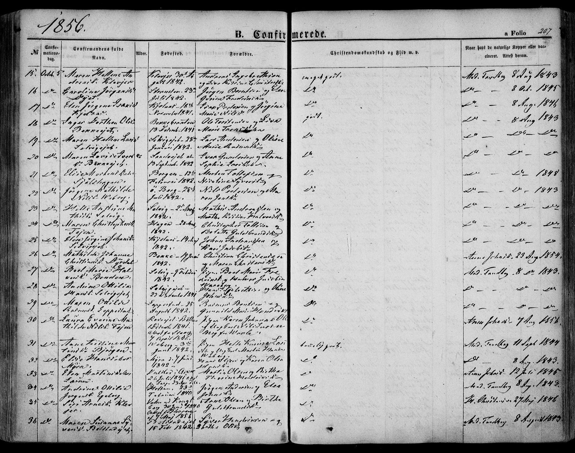 Sande Kirkebøker, AV/SAKO-A-53/F/Fa/L0004: Parish register (official) no. 4, 1847-1864, p. 207