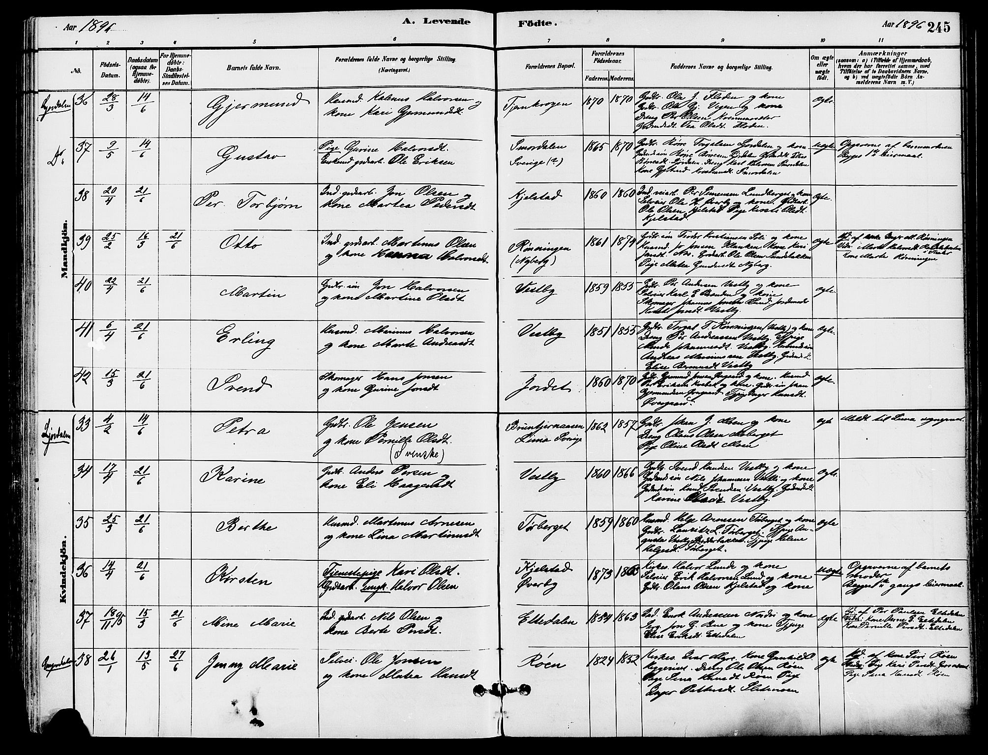 Trysil prestekontor, SAH/PREST-046/H/Ha/Haa/L0008: Parish register (official) no. 8, 1881-1897, p. 245