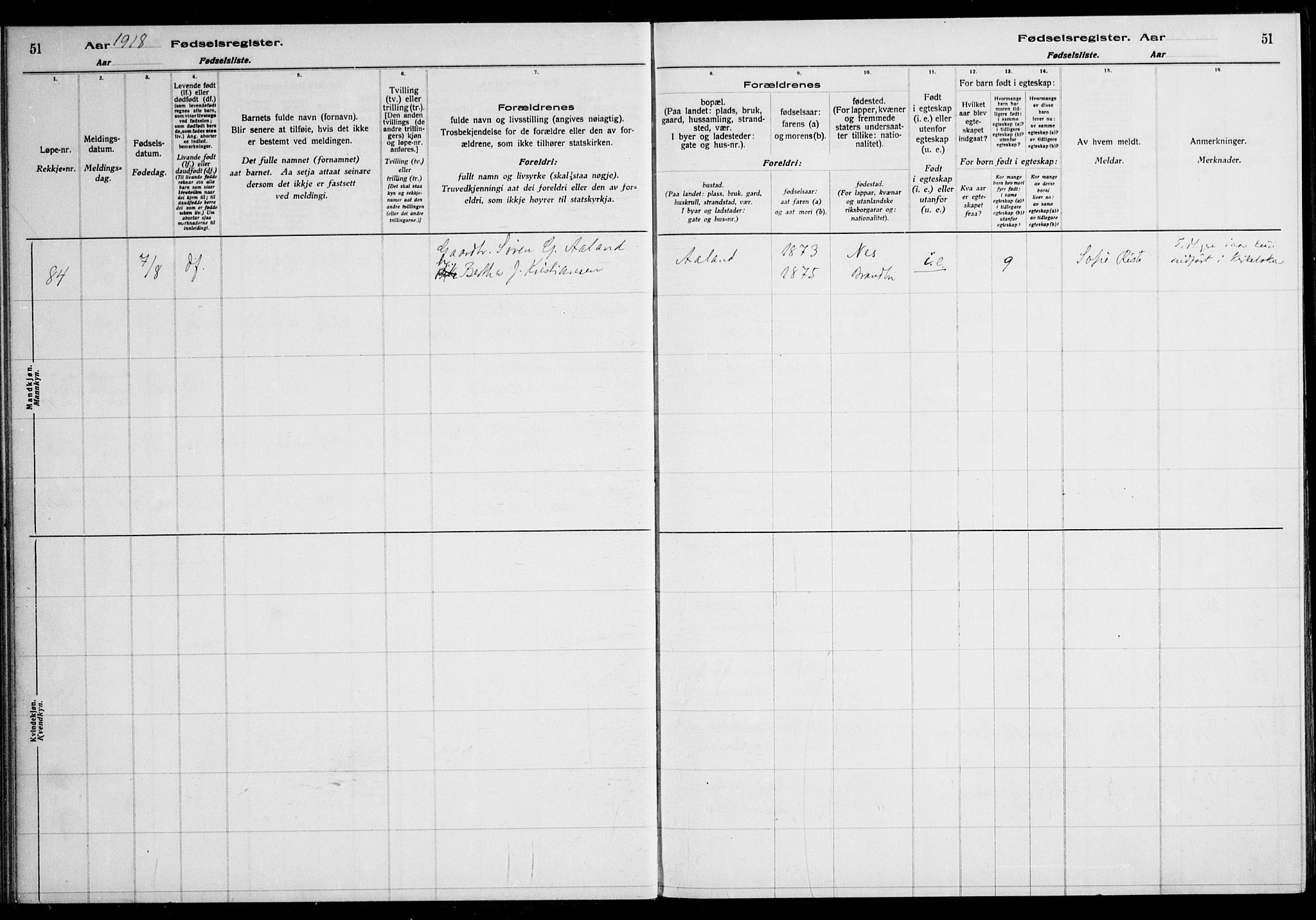 Nes prestekontor Kirkebøker, AV/SAO-A-10410/J/Ja/L0001: Birth register no. 1, 1916-1926, p. 51