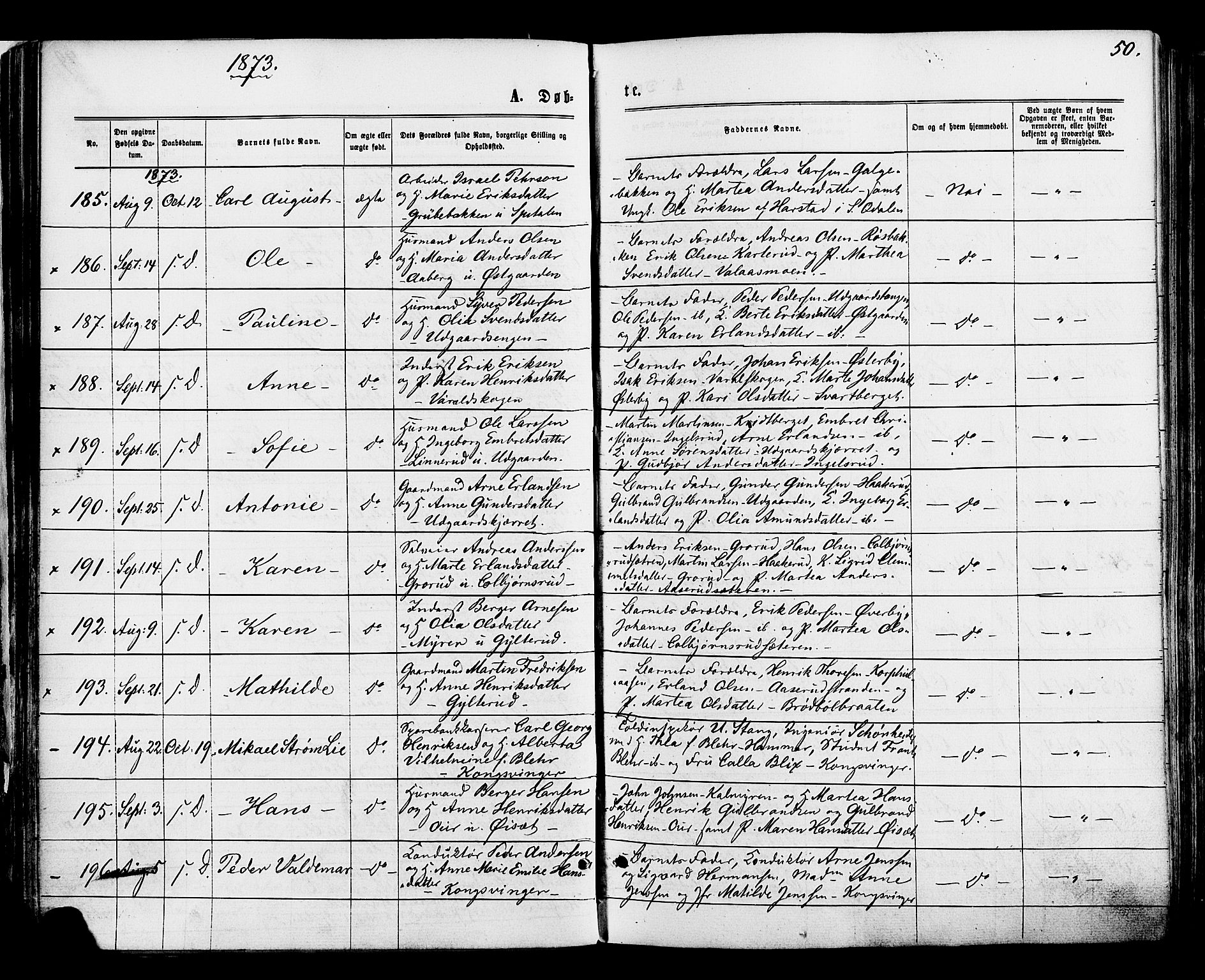 Vinger prestekontor, SAH/PREST-024/H/Ha/Haa/L0012: Parish register (official) no. 12, 1871-1880, p. 50