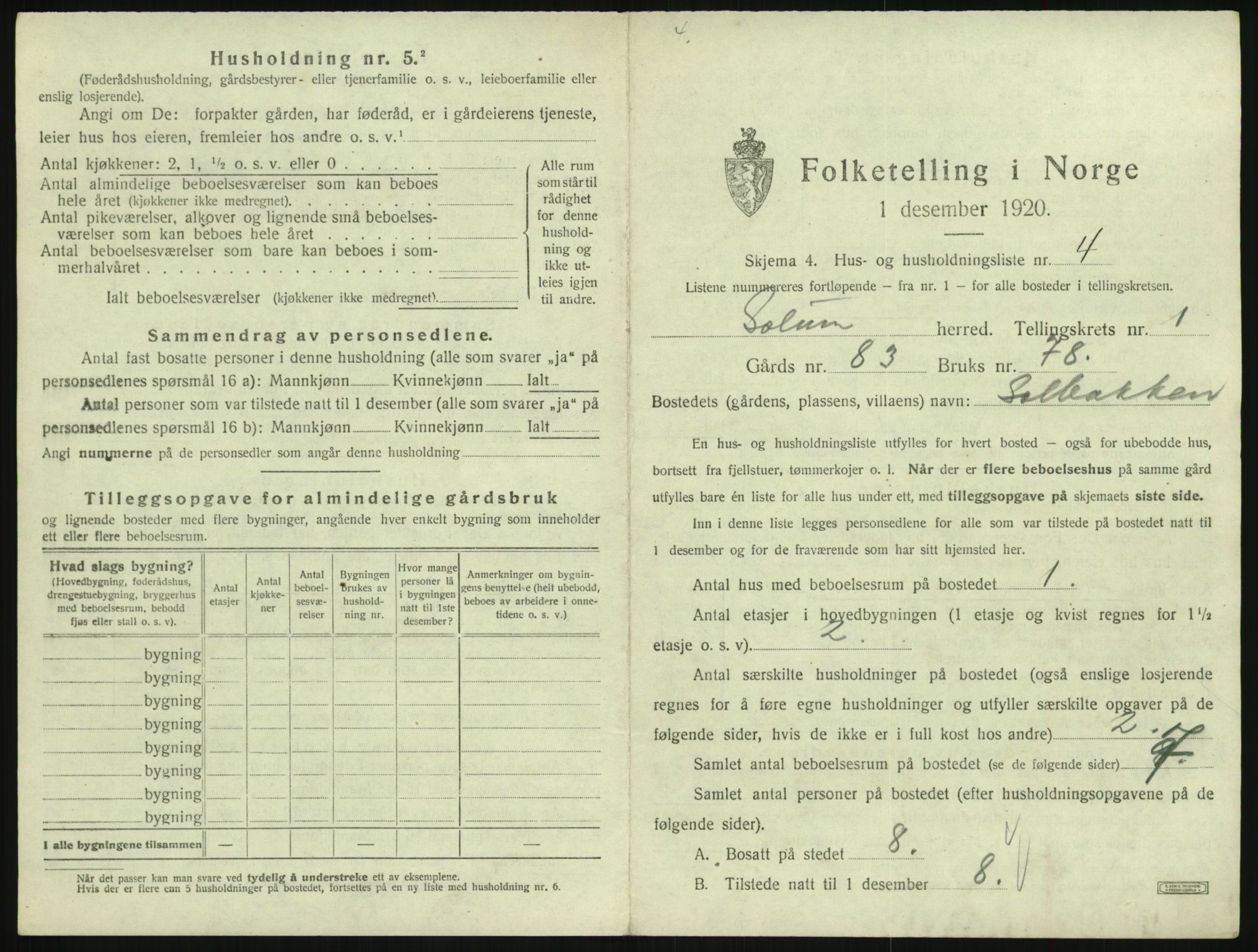 SAKO, 1920 census for Solum, 1920, p. 67