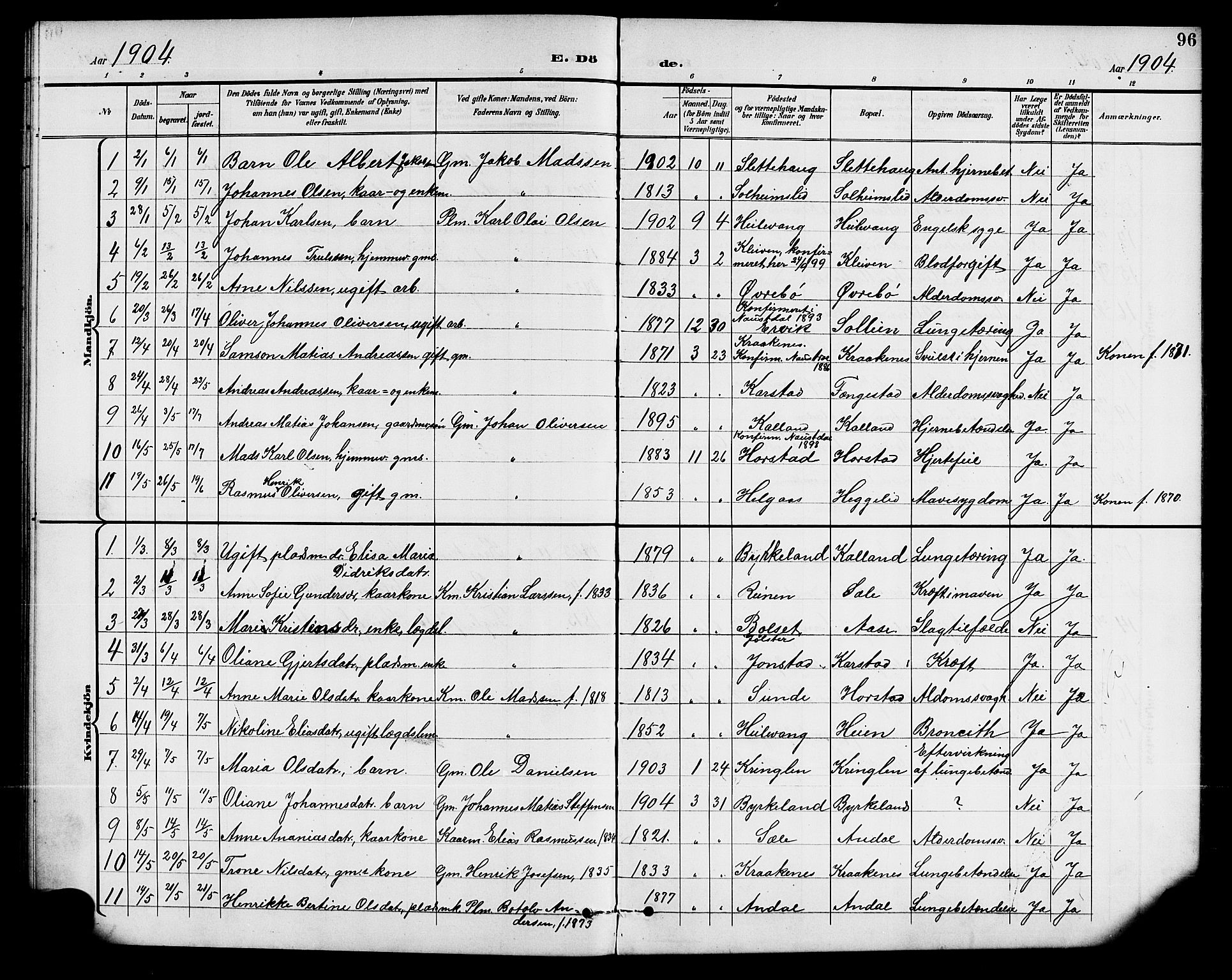 Førde sokneprestembete, AV/SAB-A-79901/H/Hab/Habd/L0005: Parish register (copy) no. D 5, 1898-1911, p. 96