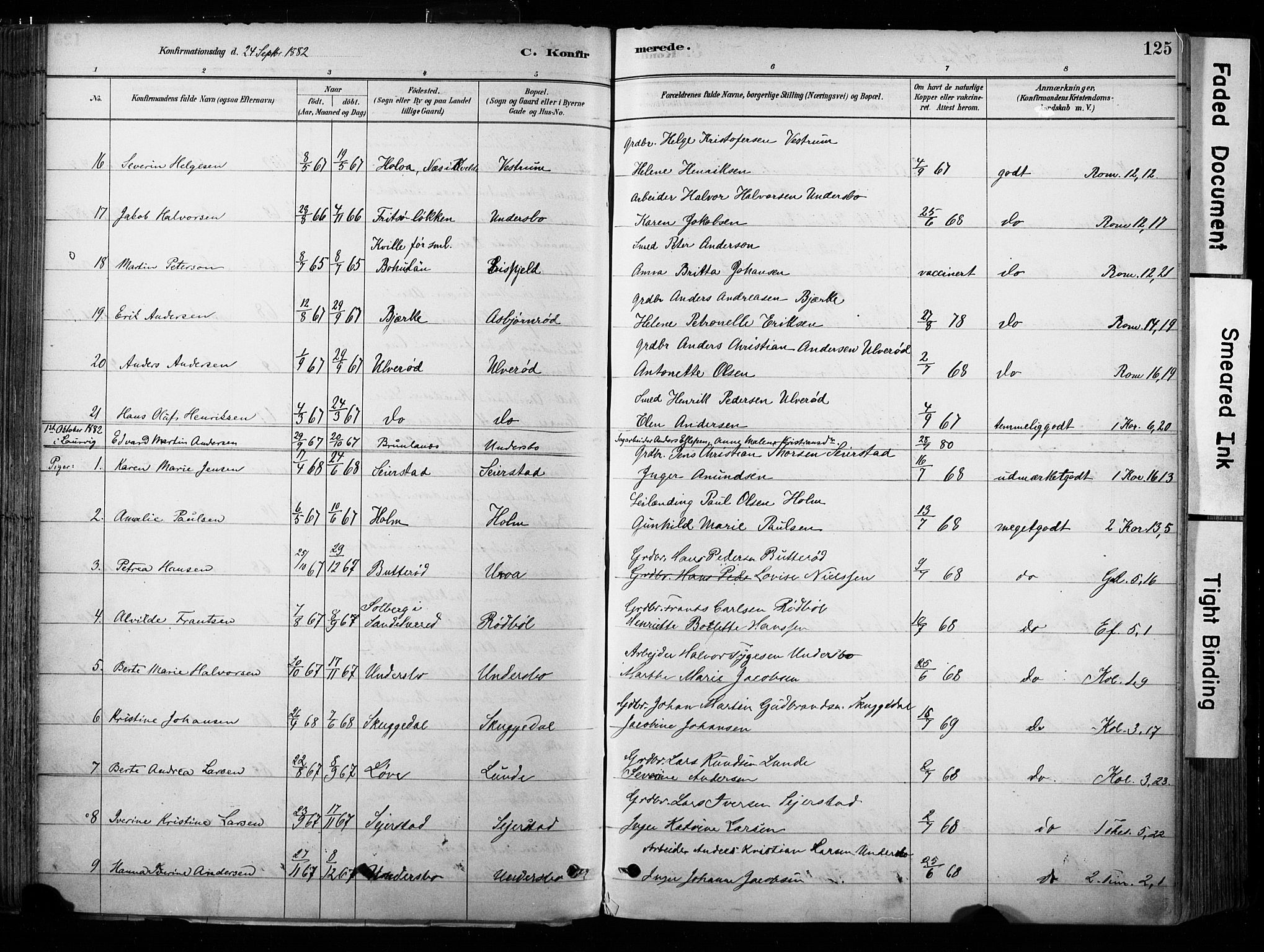 Hedrum kirkebøker, AV/SAKO-A-344/F/Fa/L0009: Parish register (official) no. I 9, 1881-1903, p. 125