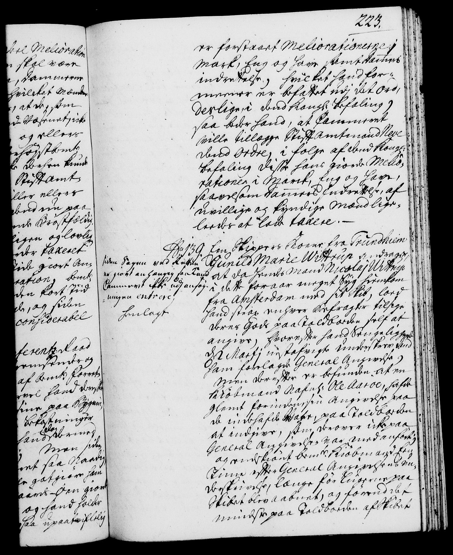 Rentekammeret, Kammerkanselliet, RA/EA-3111/G/Gh/Gha/L0021: Norsk ekstraktmemorialprotokoll (merket RK 53.66), 1739, p. 223