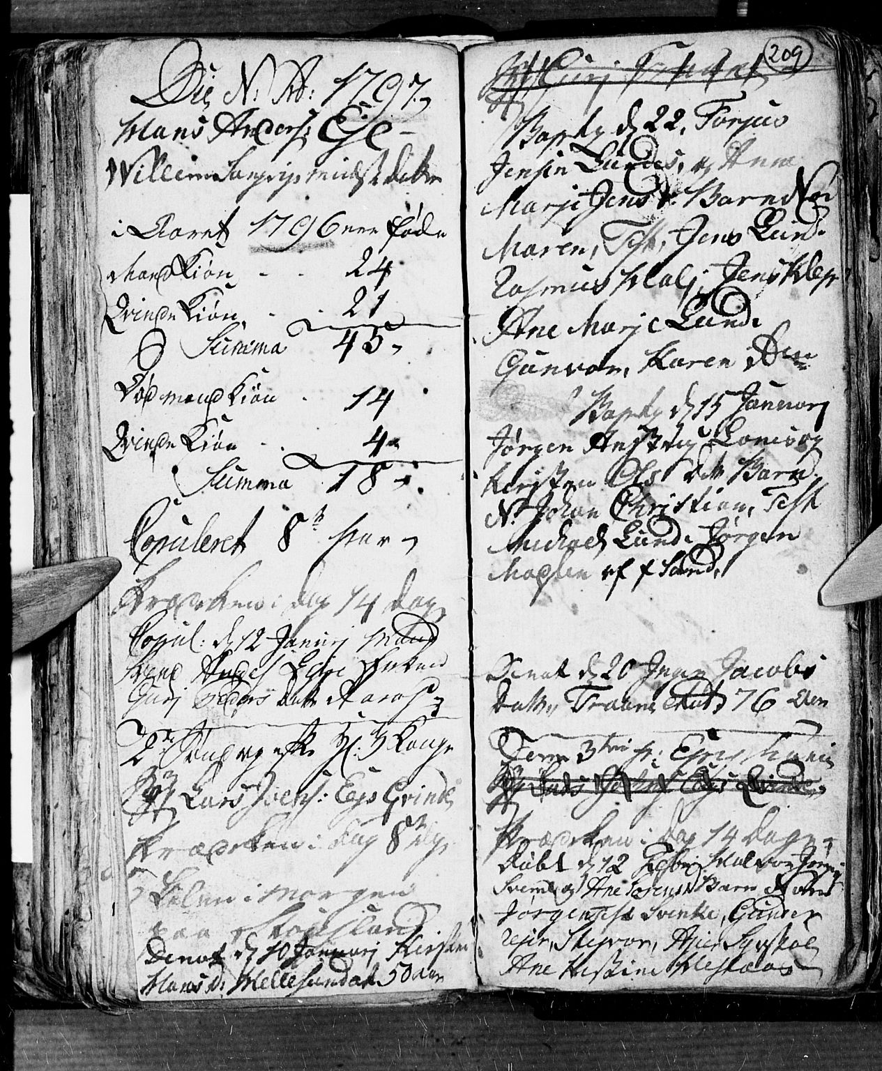Søgne sokneprestkontor, SAK/1111-0037/F/Fb/Fbb/L0001: Parish register (copy) no. B 1, 1779-1802, p. 209