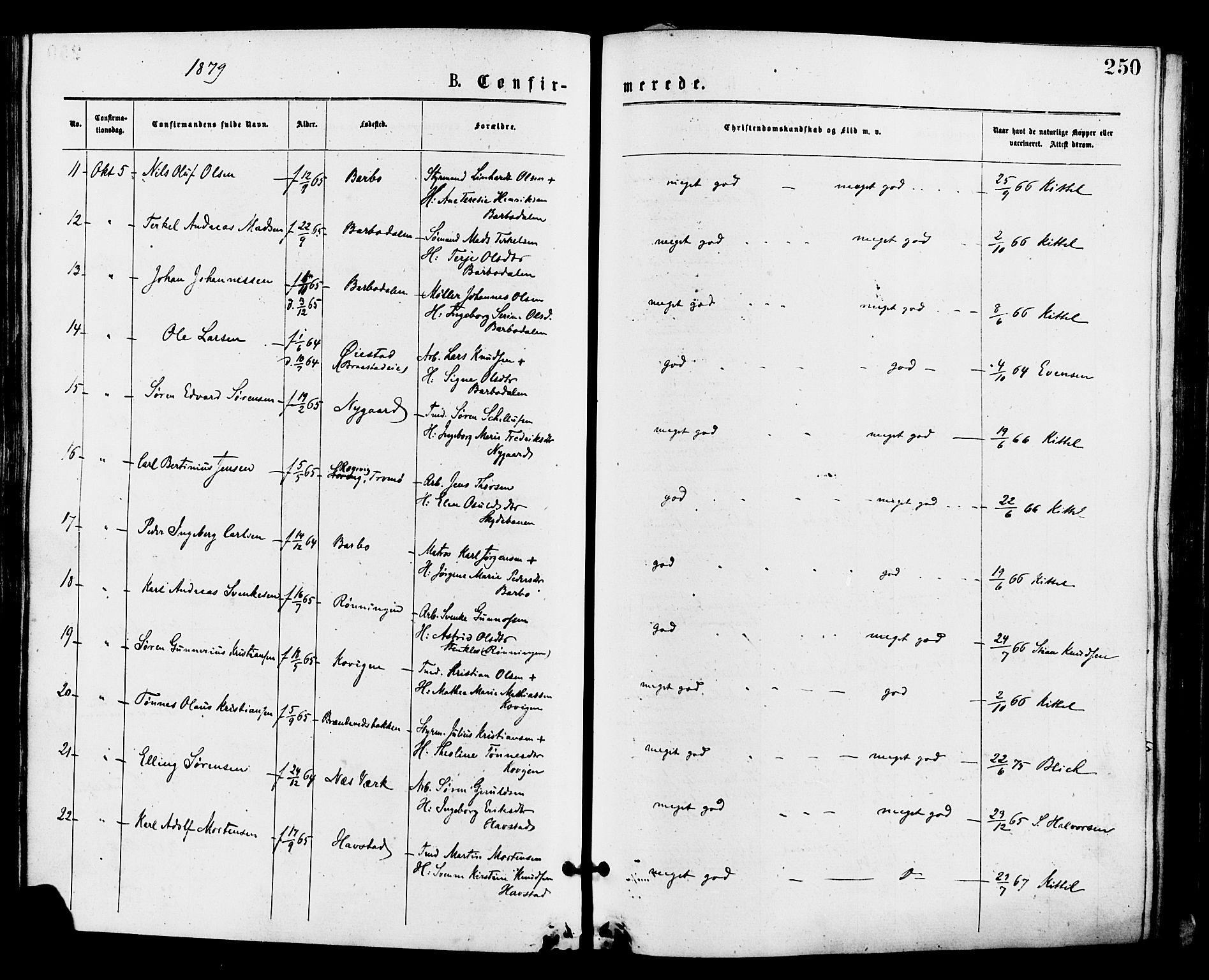 Barbu sokneprestkontor, AV/SAK-1111-0003/F/Fa/L0001: Parish register (official) no. A 1 /1, 1878-1883, p. 250