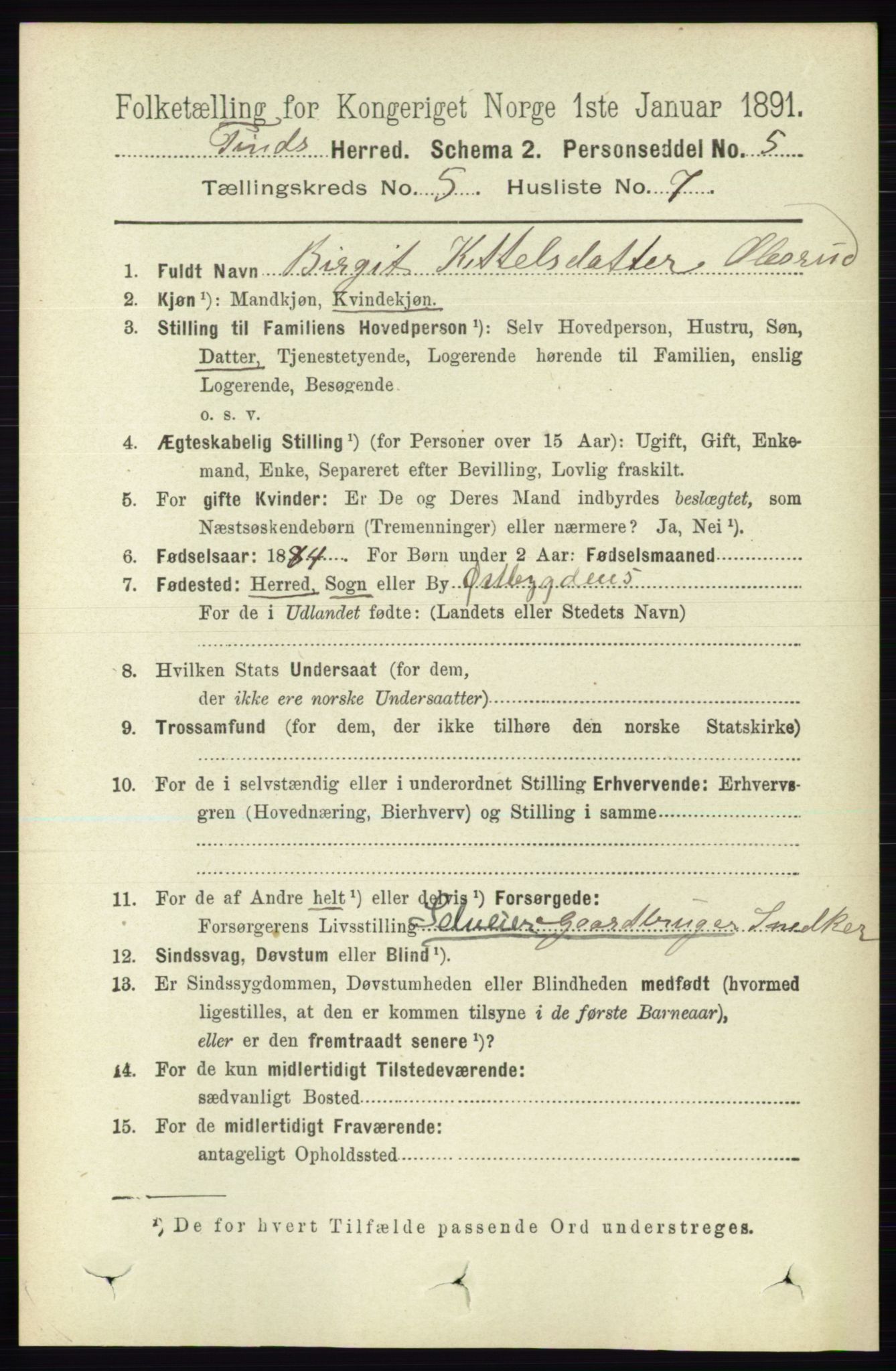 RA, 1891 census for 0826 Tinn, 1891, p. 1042