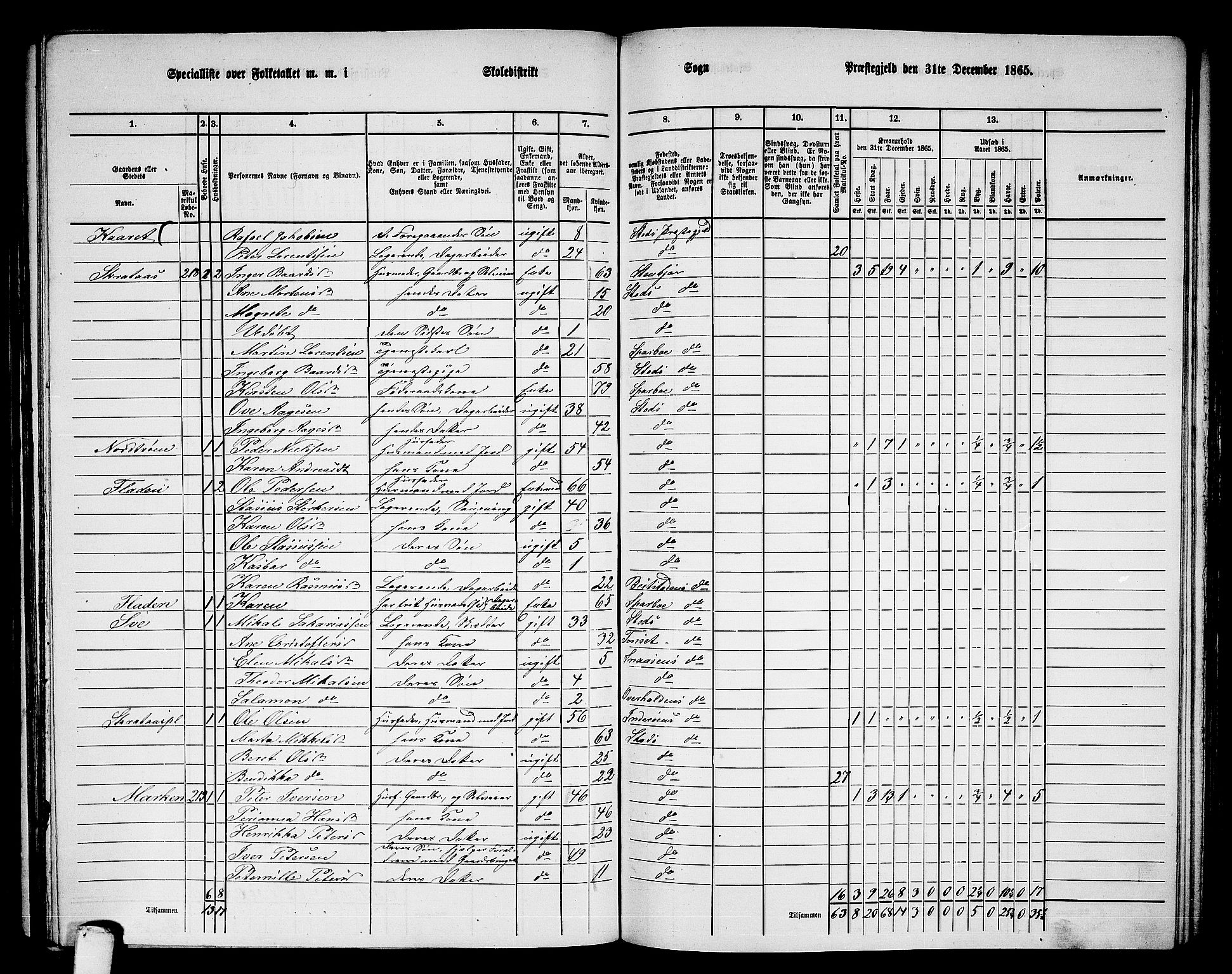 RA, 1865 census for Stod, 1865, p. 117