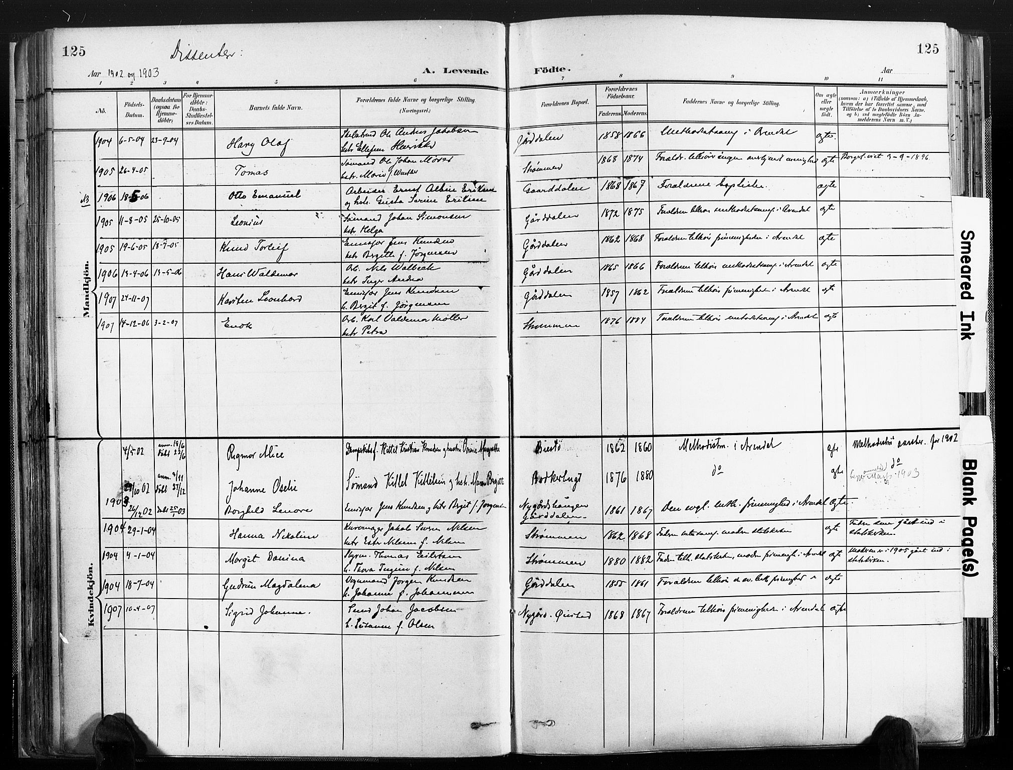 Øyestad sokneprestkontor, SAK/1111-0049/F/Fa/L0018: Parish register (official) no. A 18, 1897-1907, p. 125