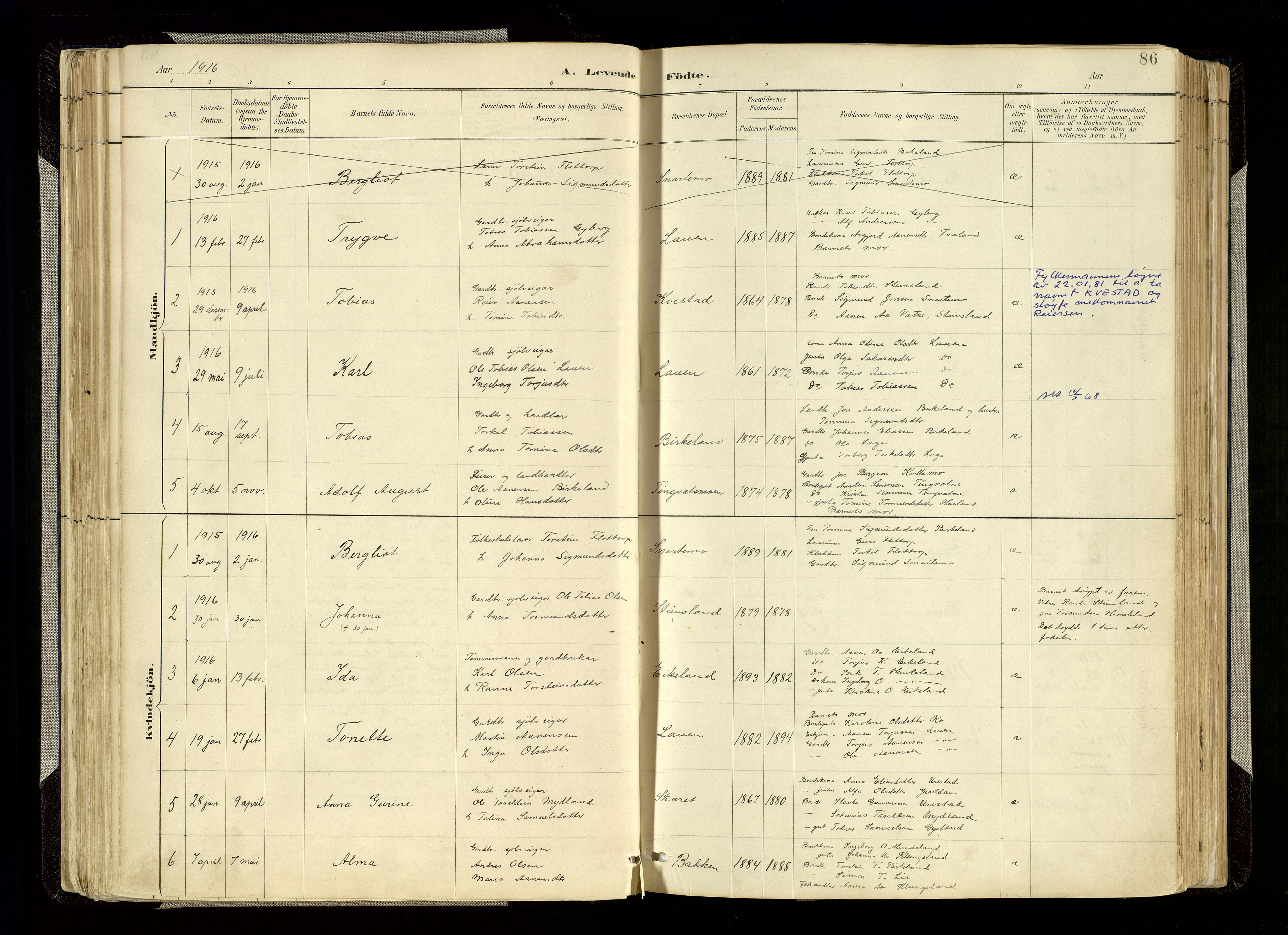 Hægebostad sokneprestkontor, AV/SAK-1111-0024/F/Fa/Faa/L0006: Parish register (official) no. A 6, 1887-1929, p. 86