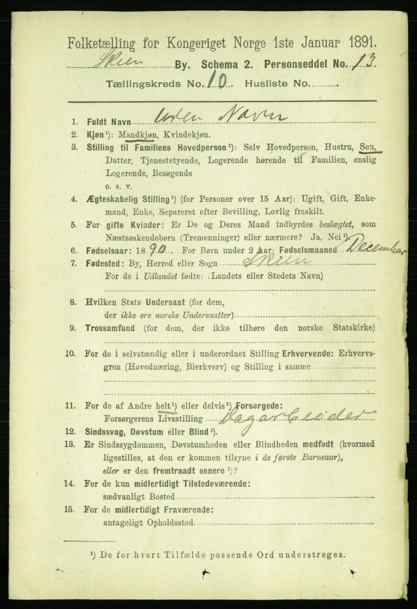 RA, 1891 census for 0806 Skien, 1891, p. 11521