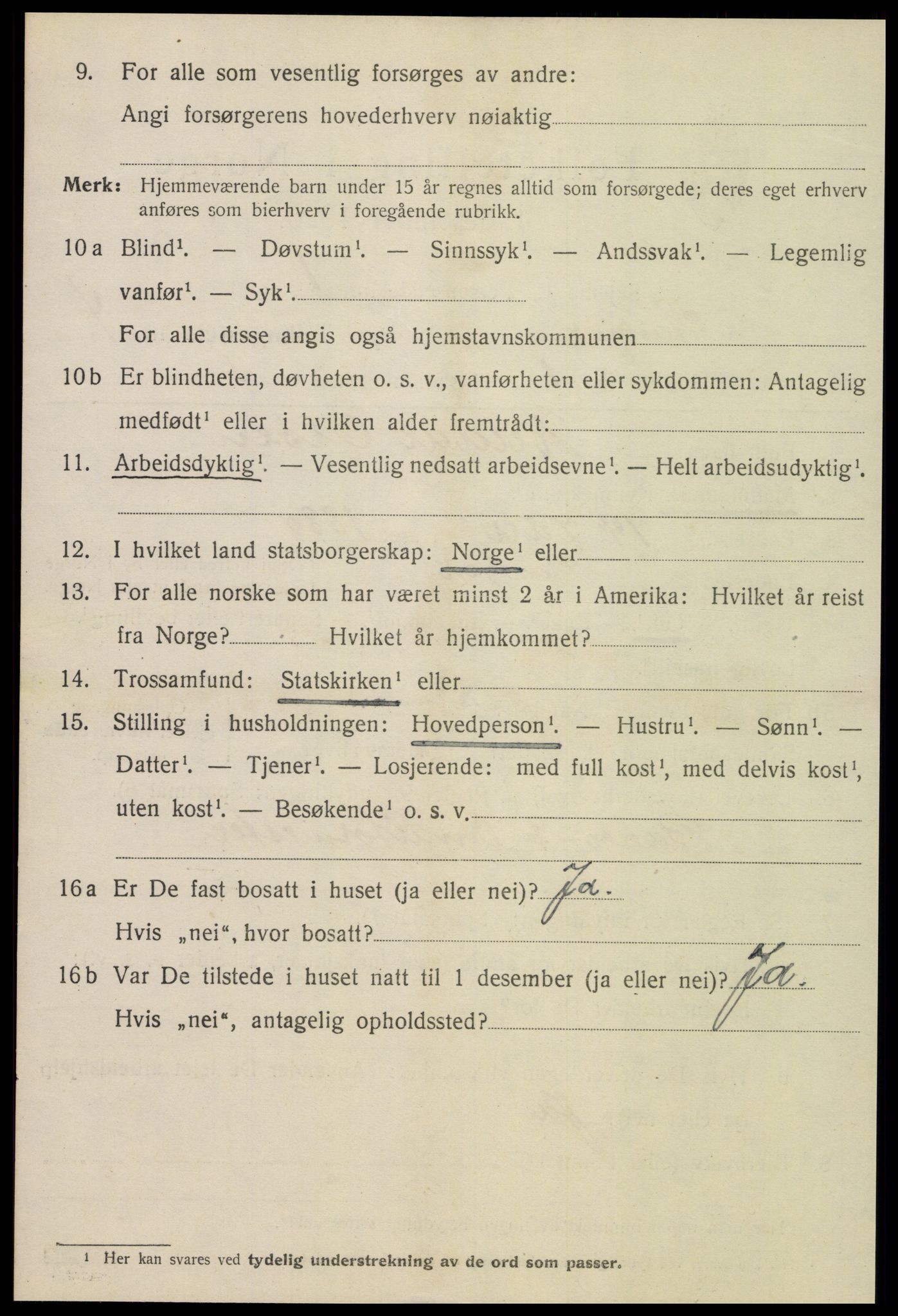 SAT, 1920 census for Steinkjer, 1920, p. 6991