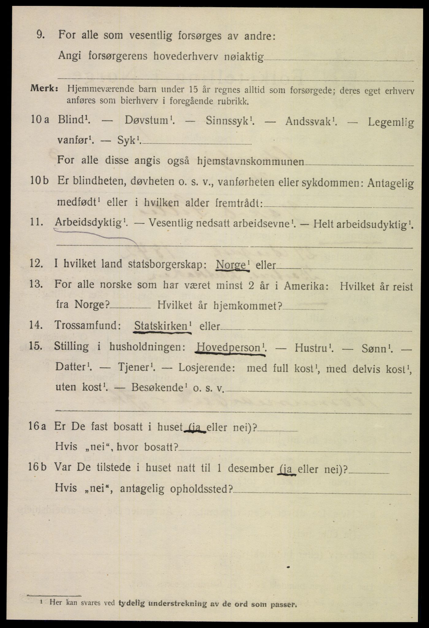 SAT, 1920 census for Steinkjer, 1920, p. 6307