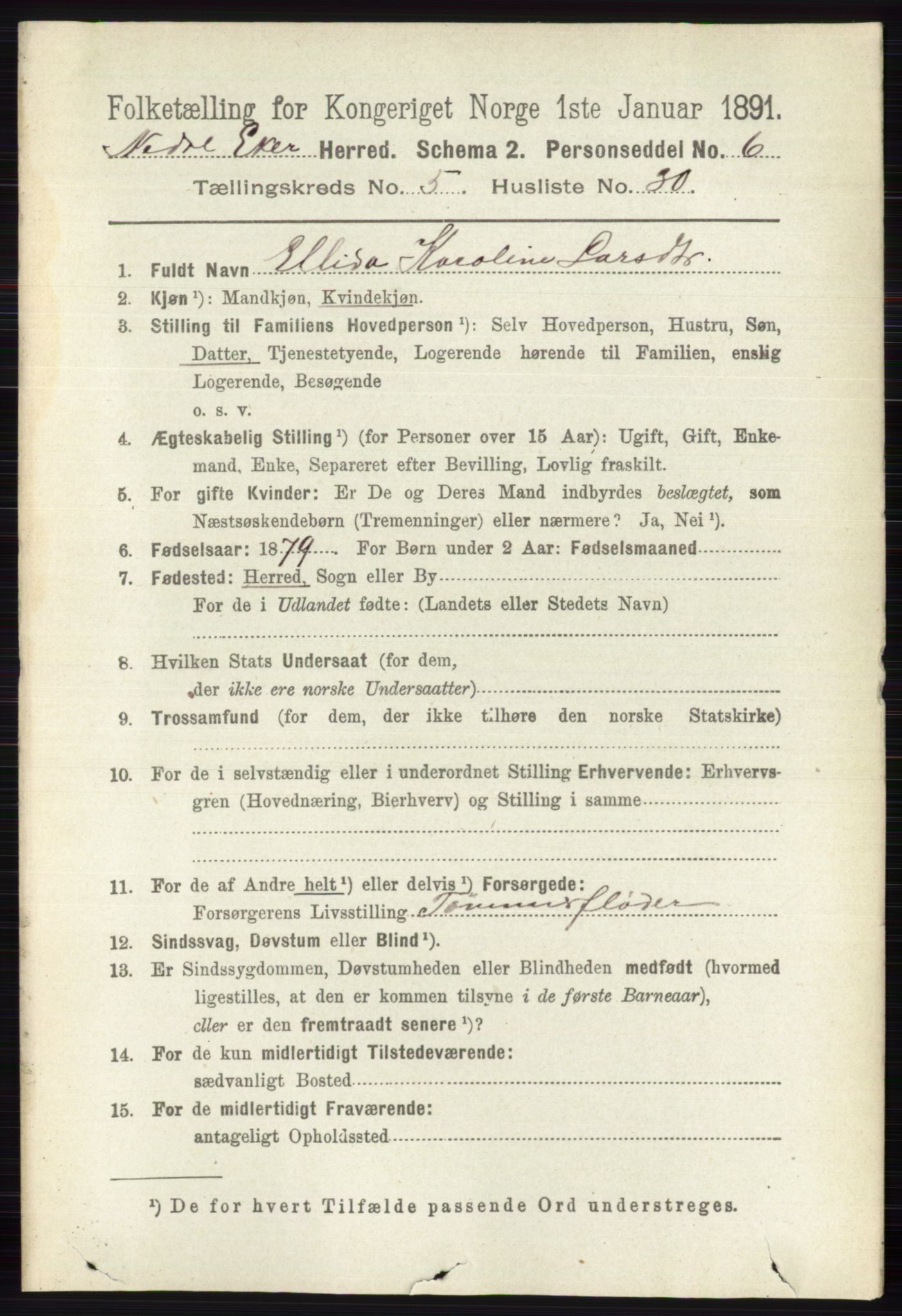 RA, 1891 census for 0625 Nedre Eiker, 1891, p. 2497