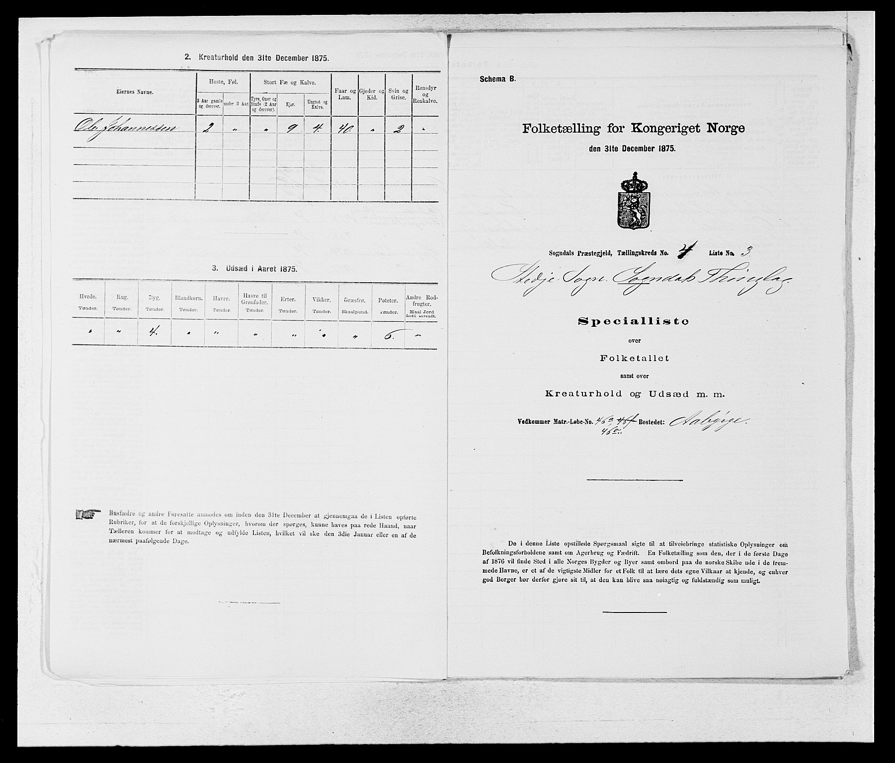 SAB, 1875 census for 1420P Sogndal, 1875, p. 302